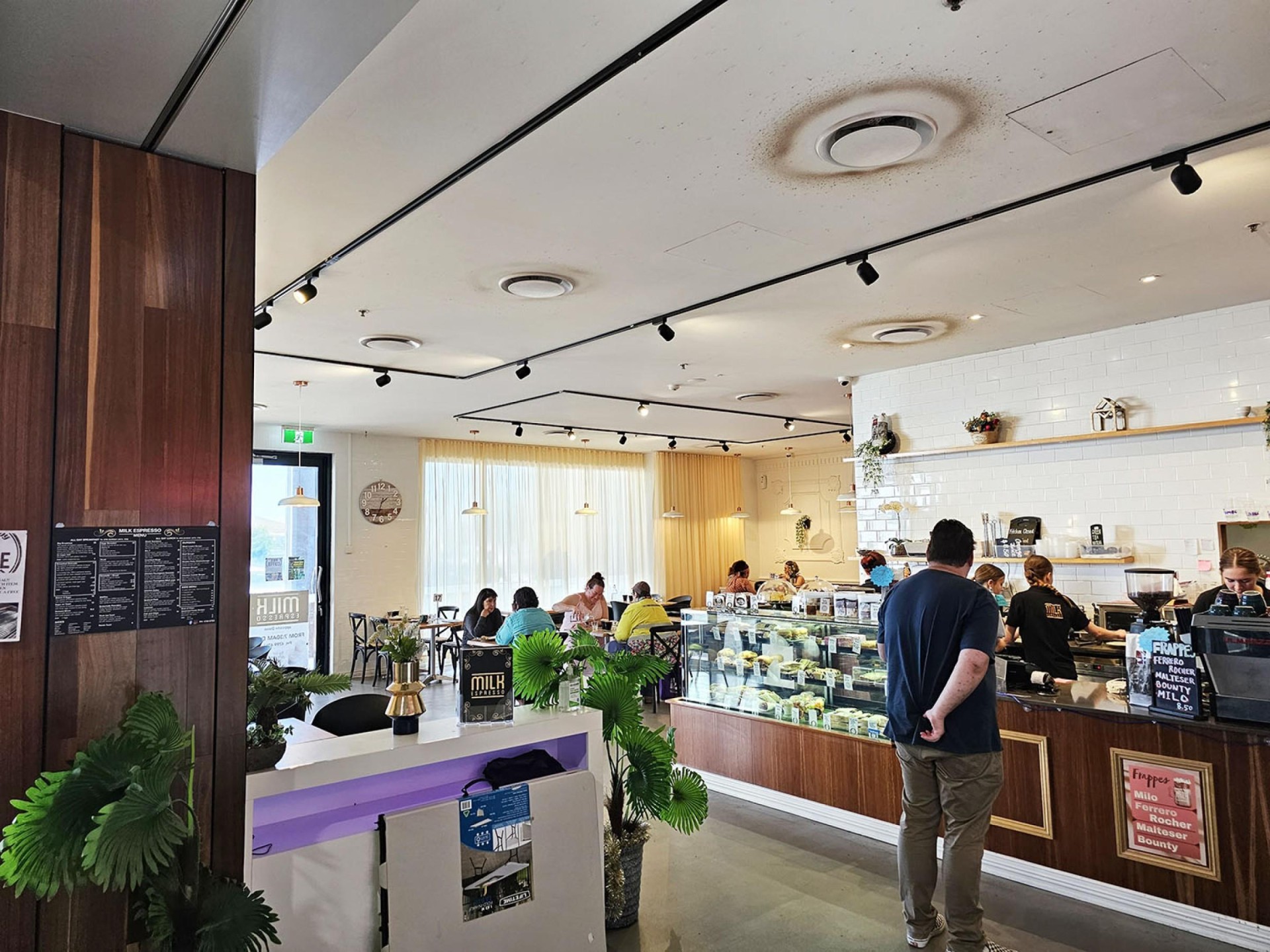 Milk Espresso Willows - 625126 2