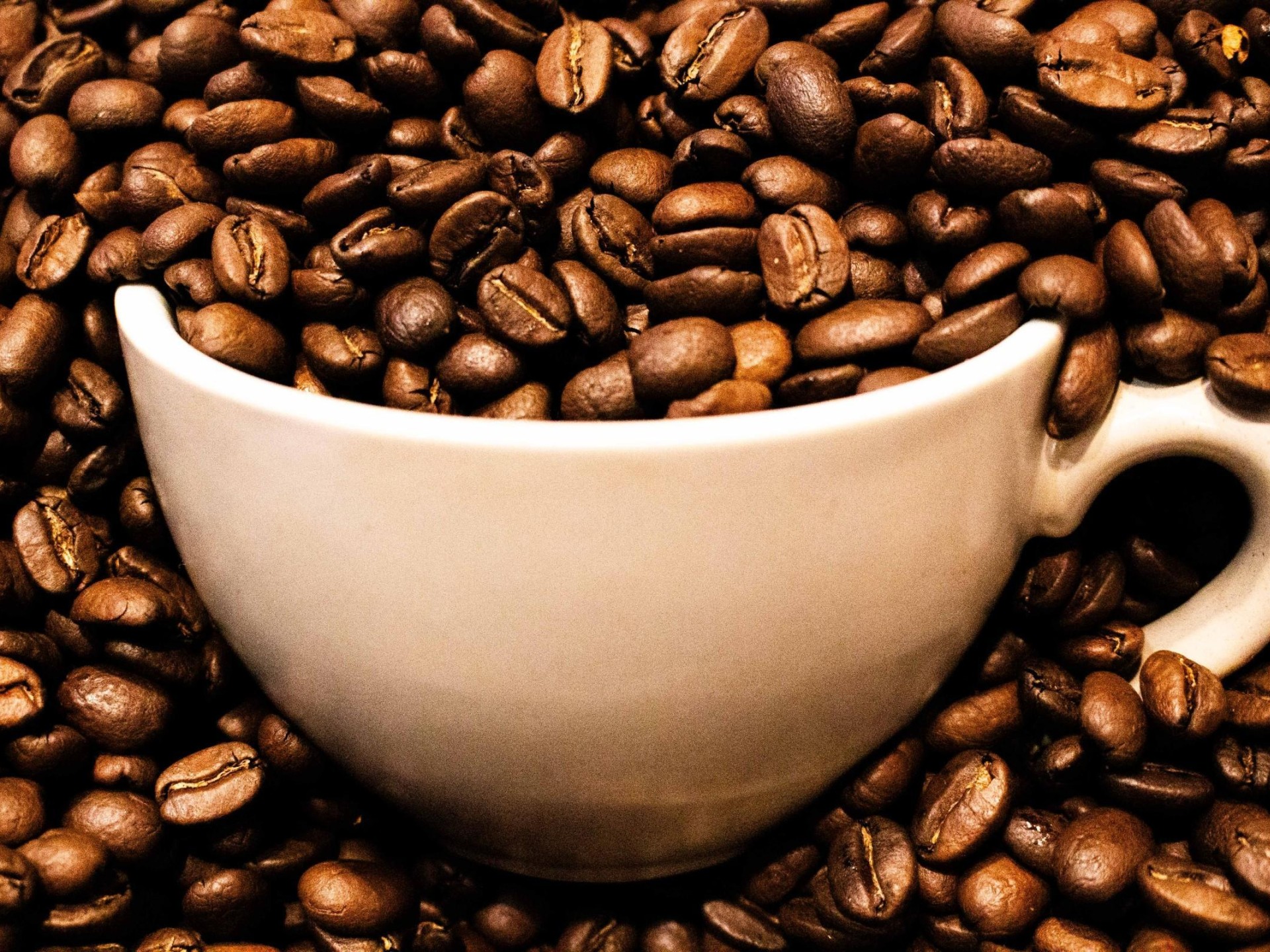 Profitable Lobby Café With 625361 3