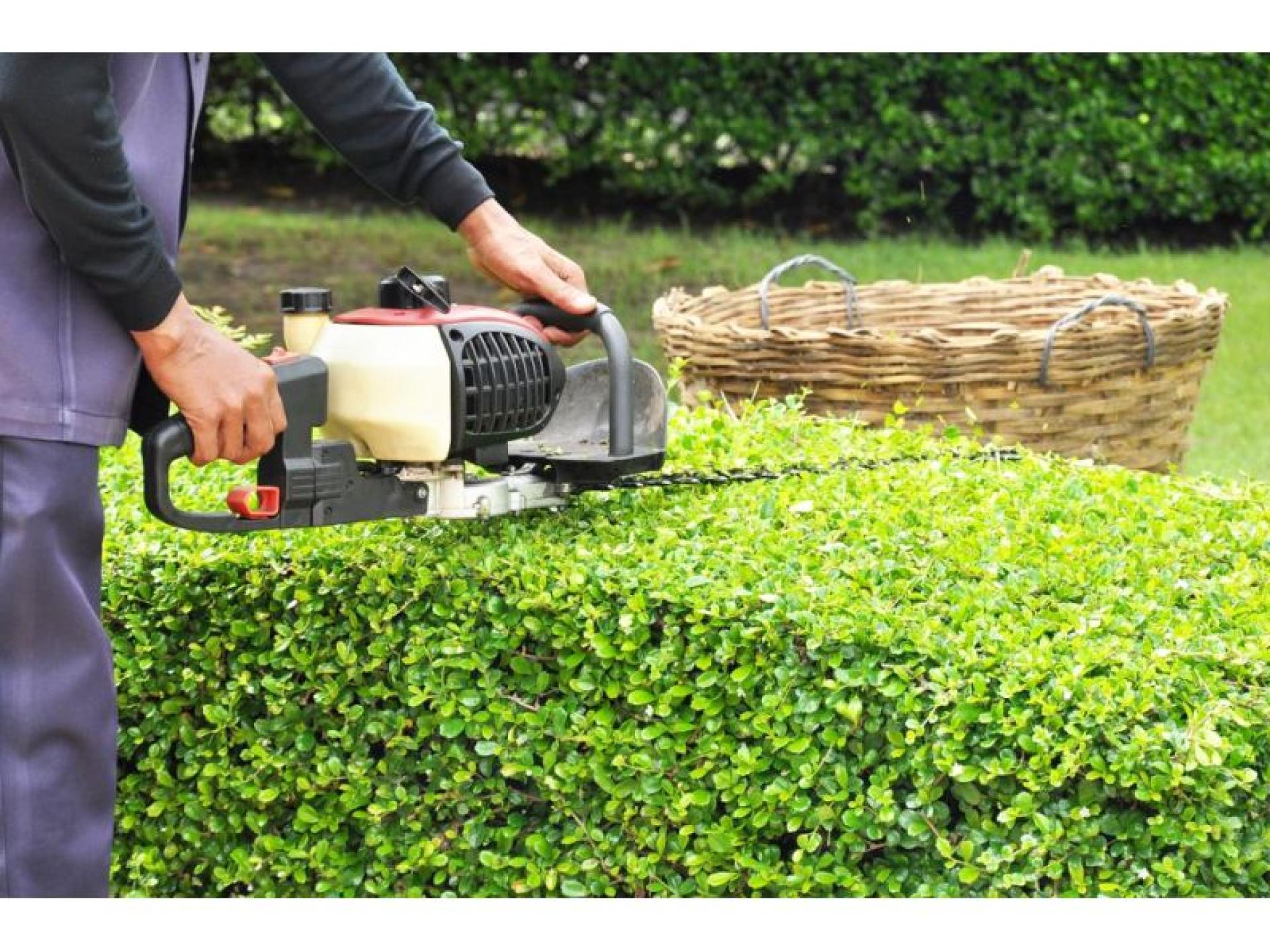 Lucrative Lawn & Garden 626440 3