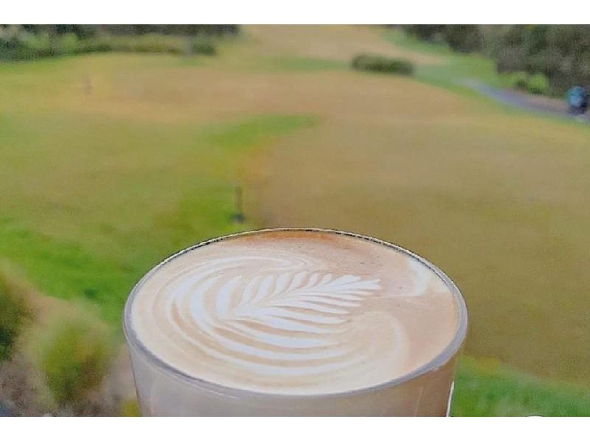 Established Cafe In Ringwood 627092 3