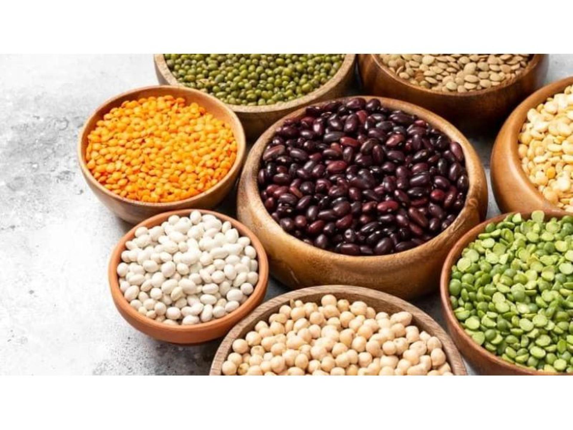 Indian Grocery Food & 627730 2