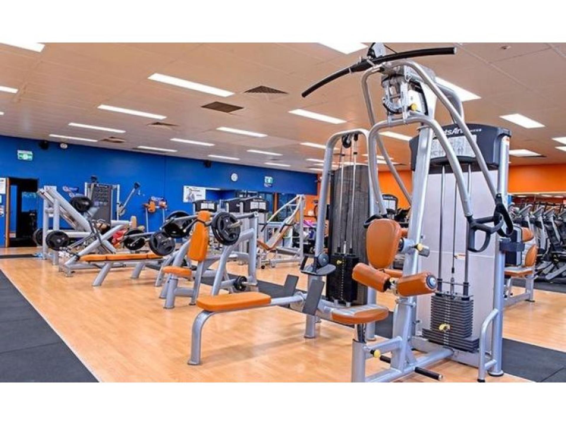 Plus Fitness For Sale 627770 2