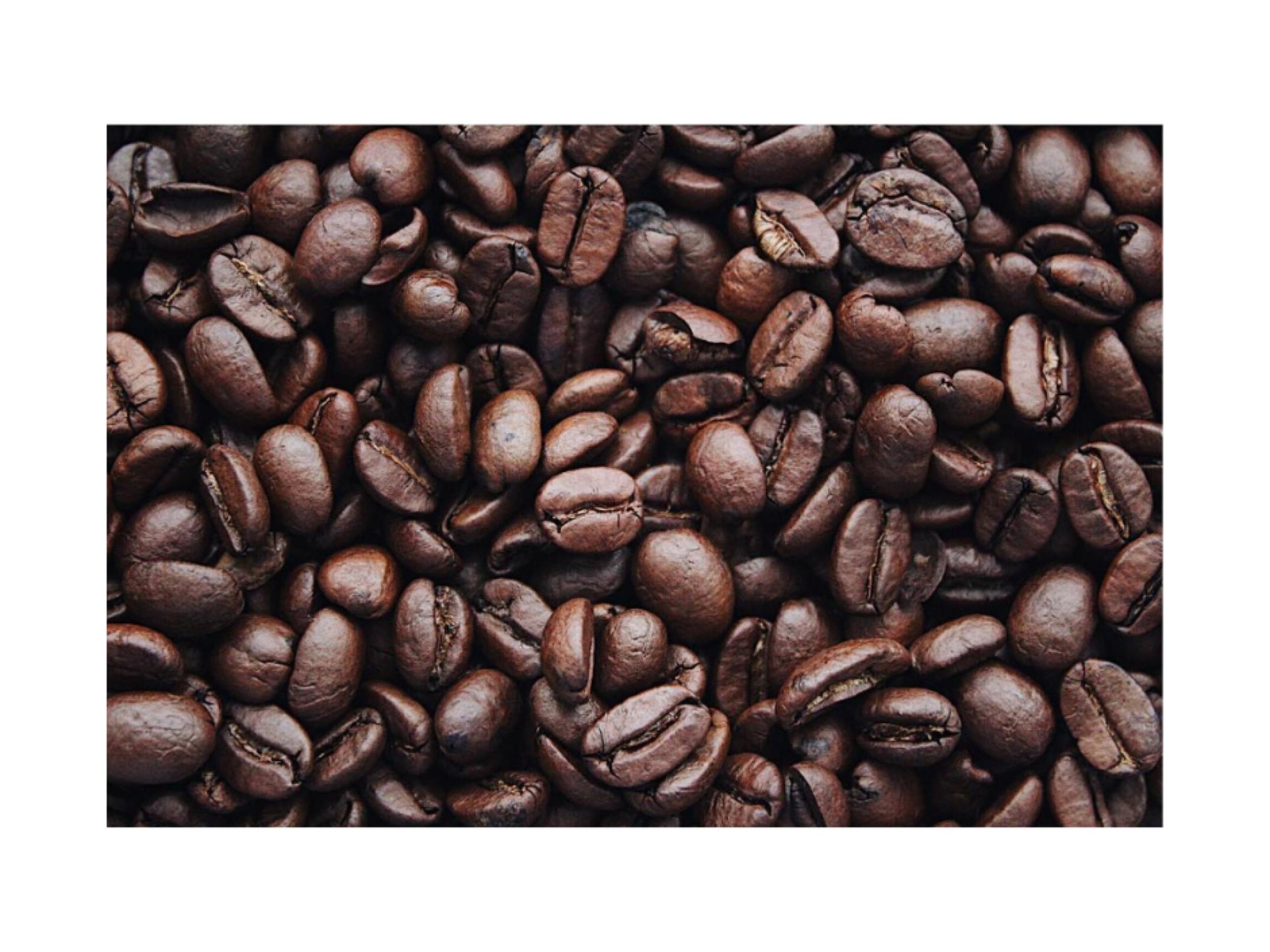 Thriving Espresso Bar In 628252 2