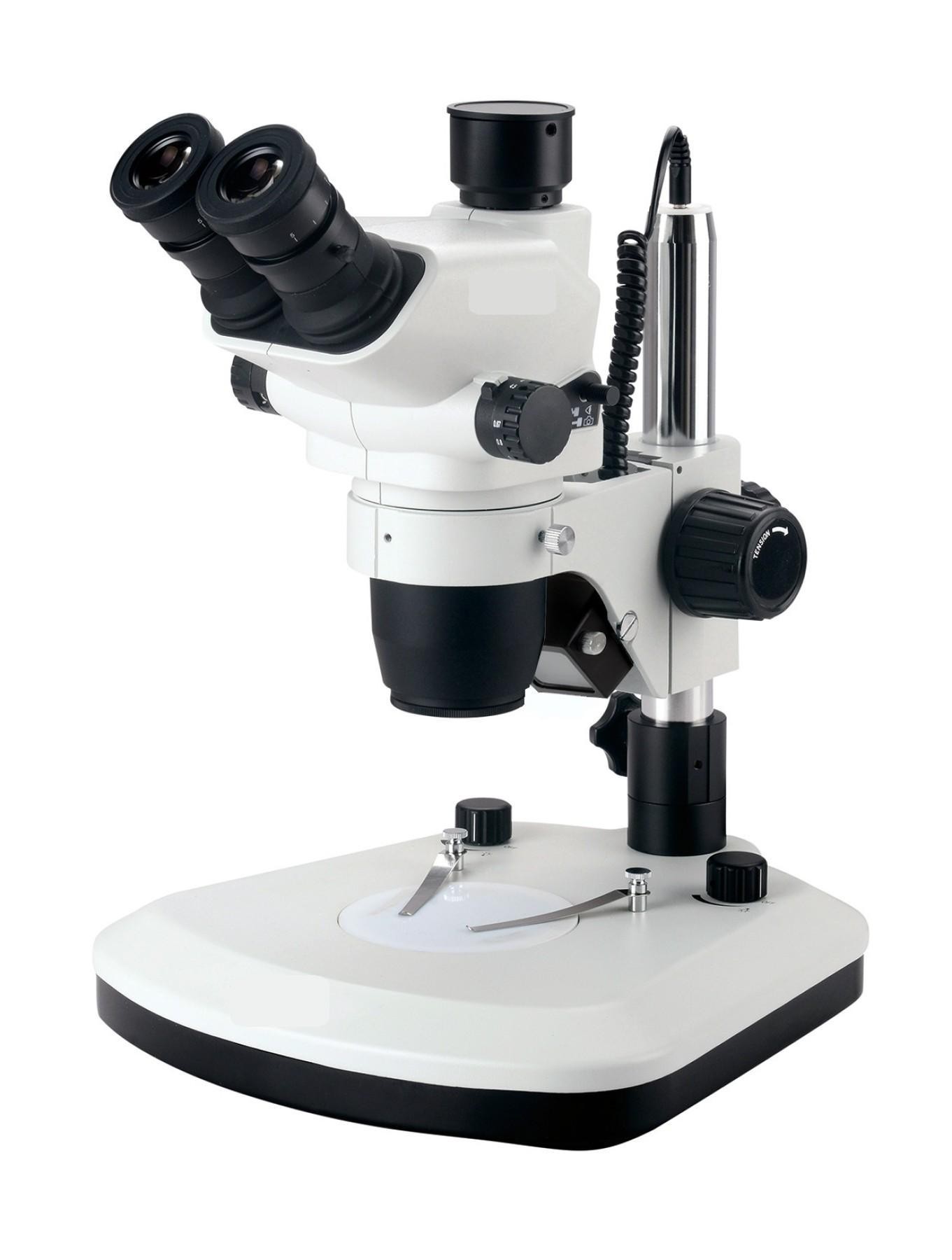 Scientific Instruments Importer Price 631335 2