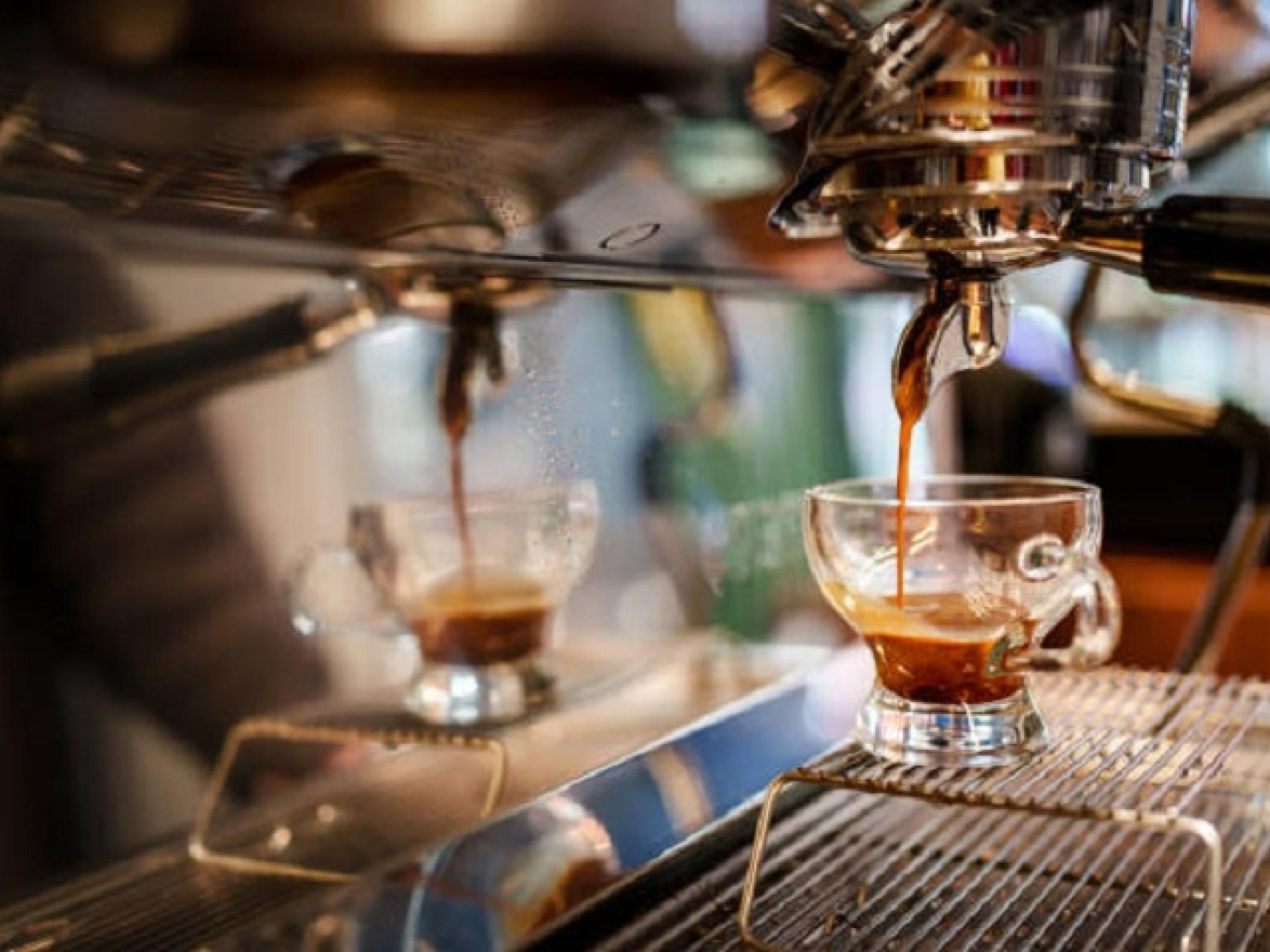 Café Well-established In Hills 631819 2