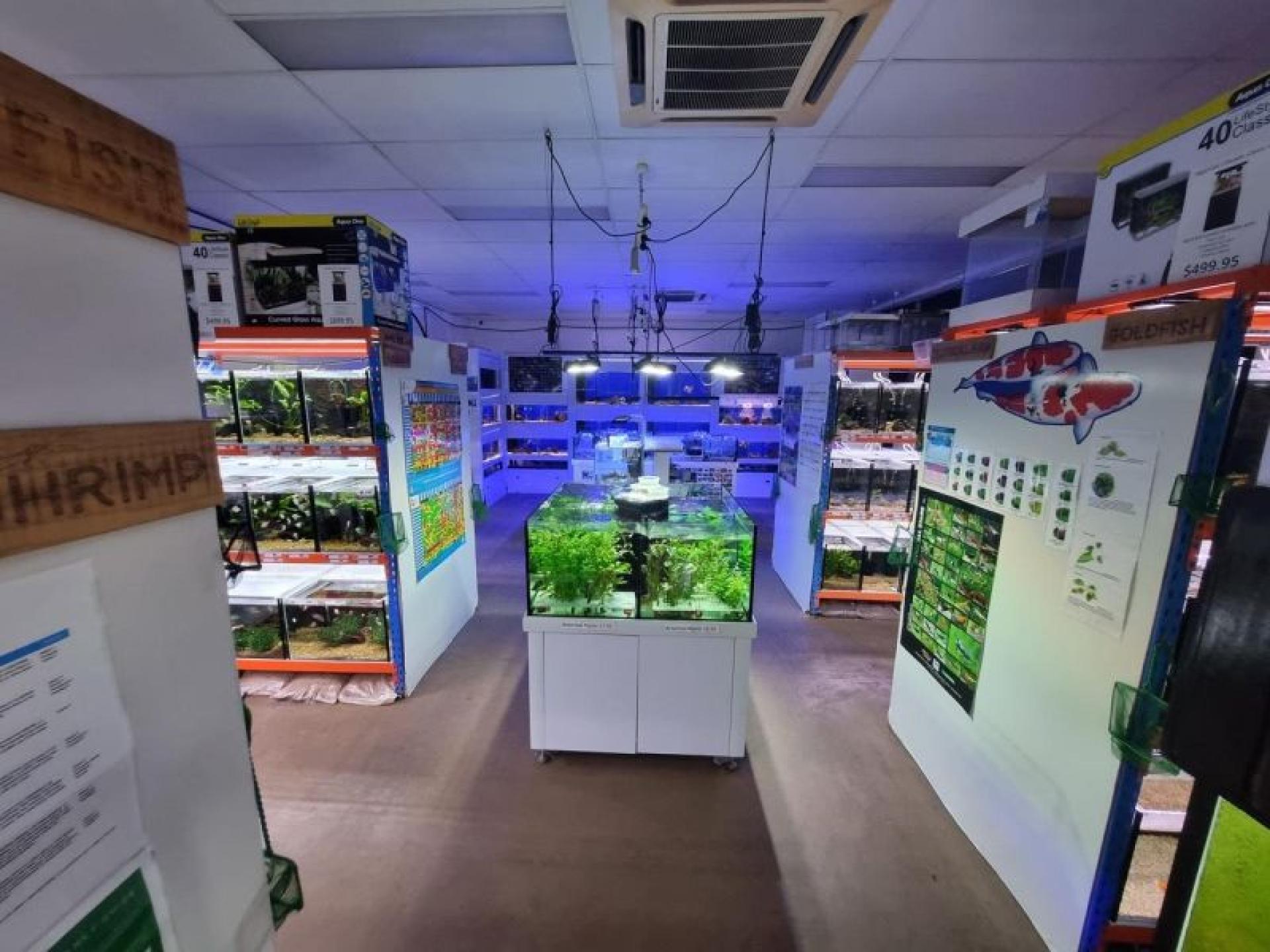 Under Offer - Boutique 632267 2