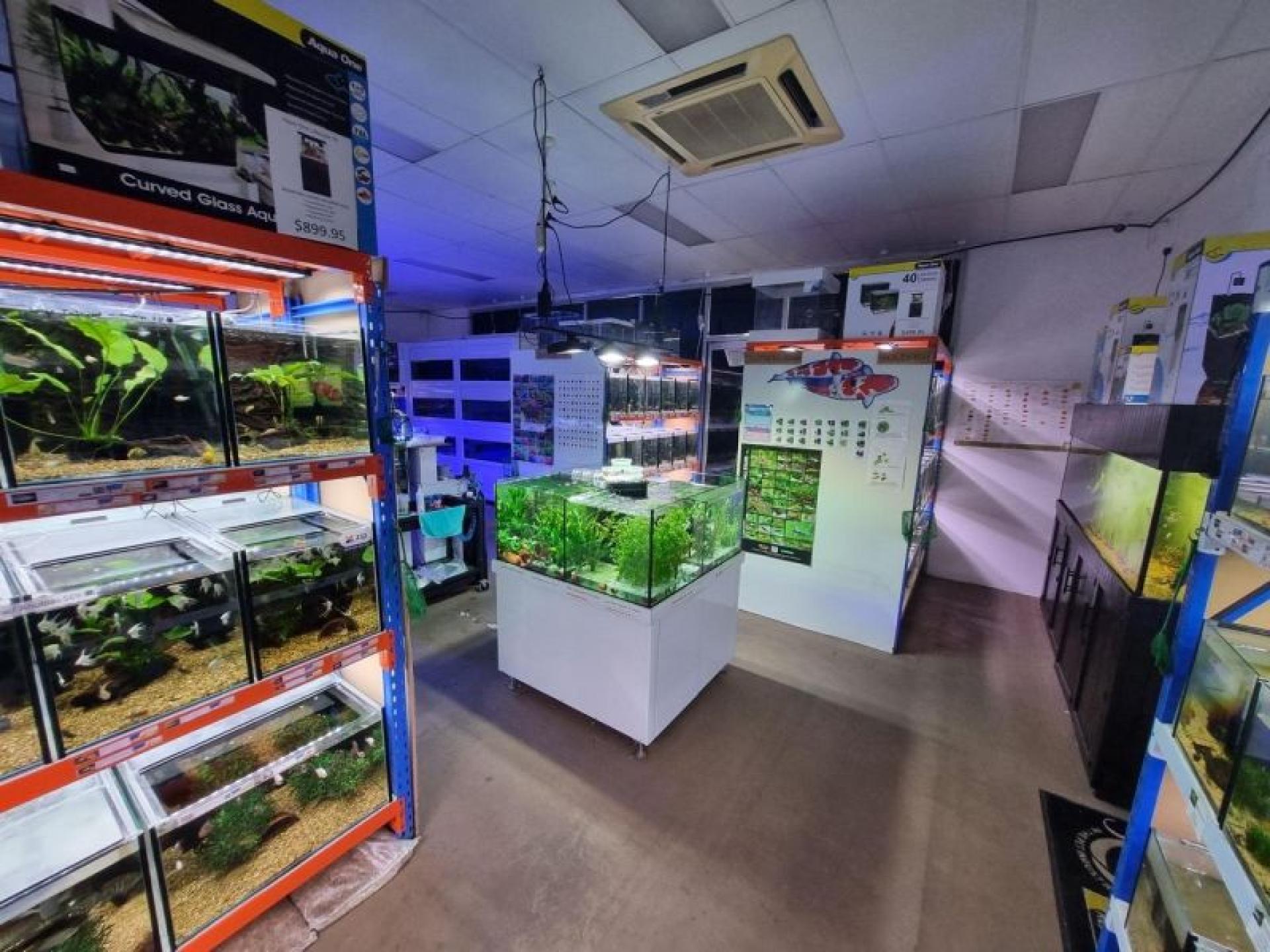 Under Offer - Boutique 632267 3