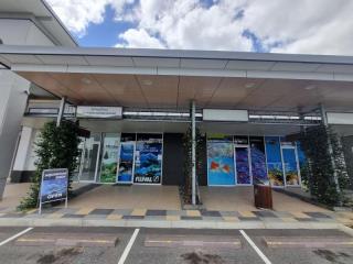 UNDER OFFER - Boutique Aquarium Shop plus ONLINE – Springfield Lakes, QLD