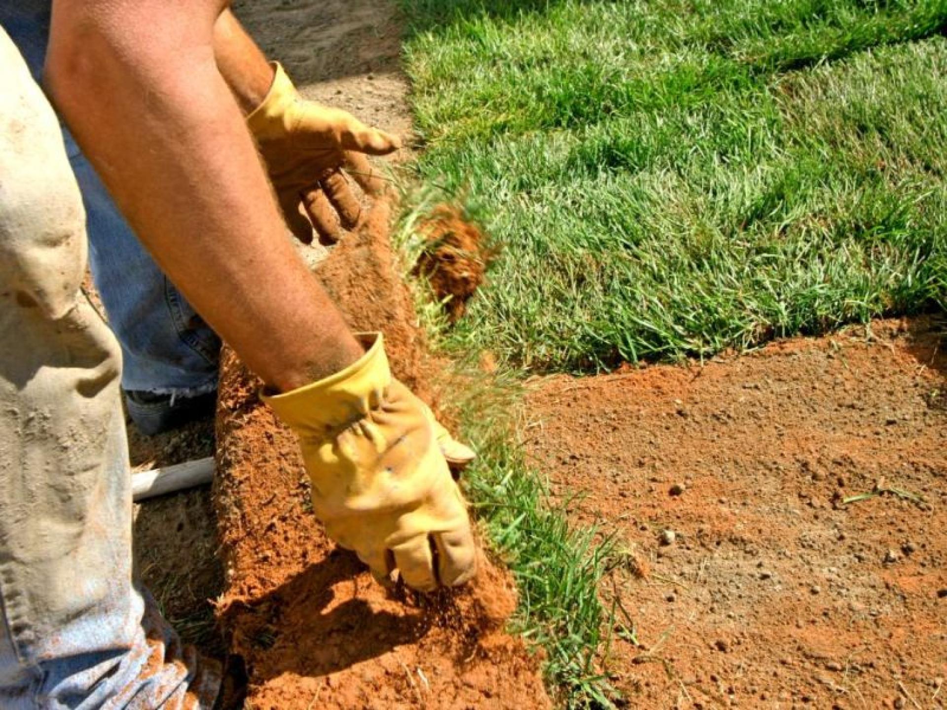 Landscape Supplies Under Management 632275 3