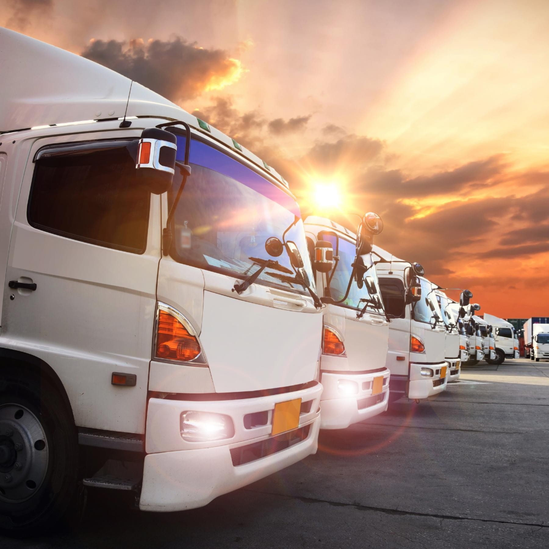 Transport & Logistics Business 632434 3