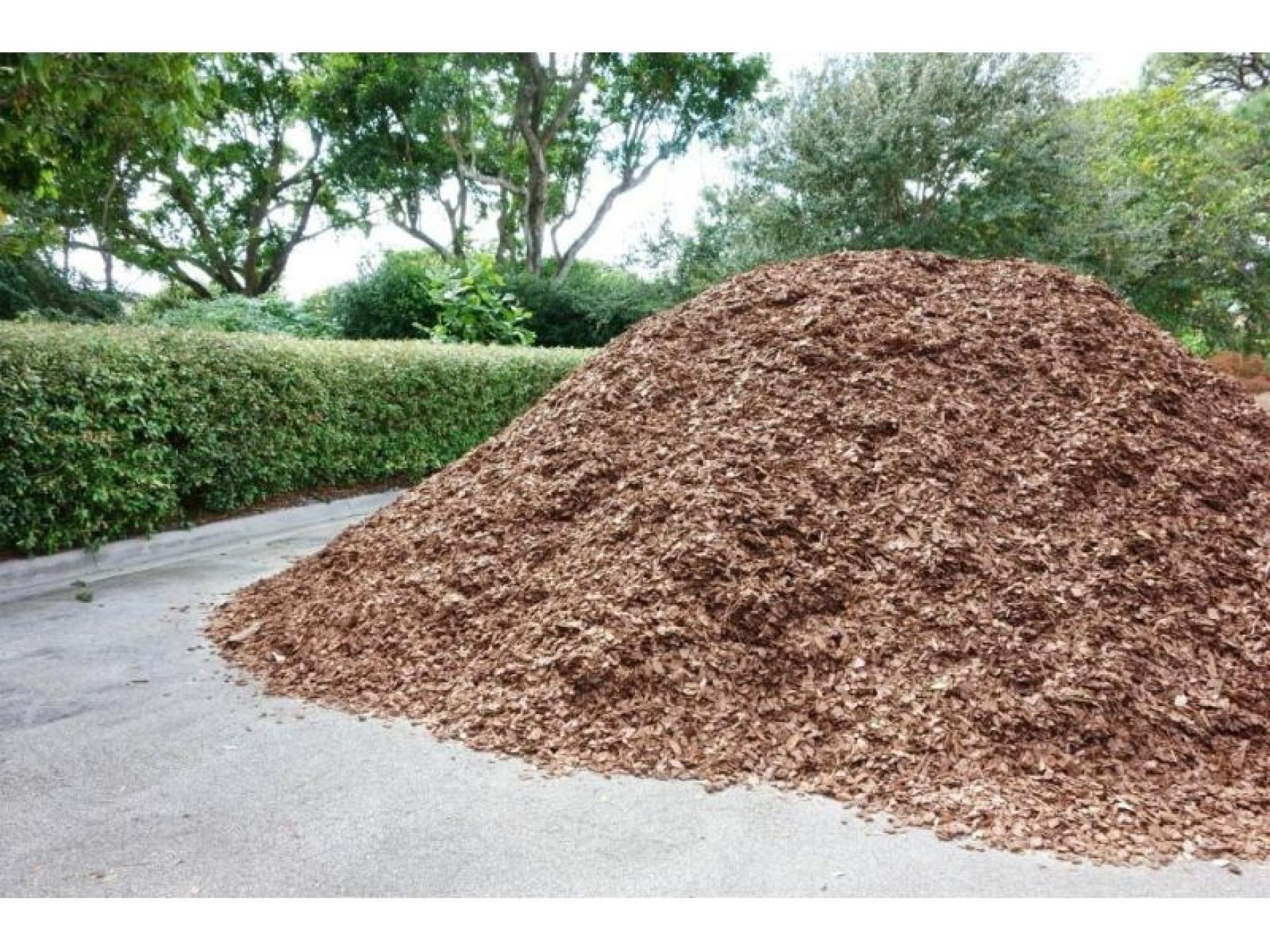 Supplier Of Bulk Soil 633790 2