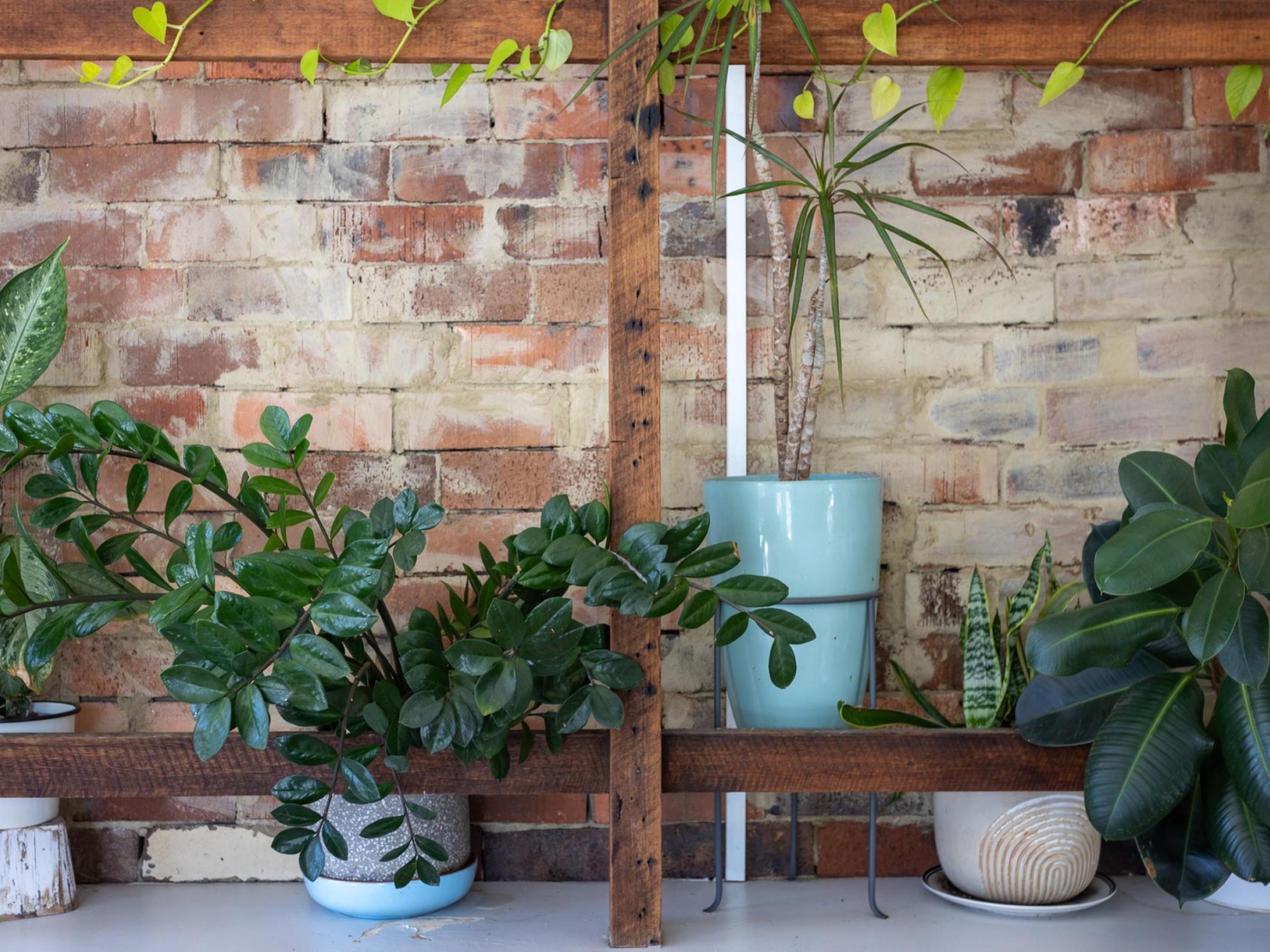 Highly Regarded | Inner 634823 2