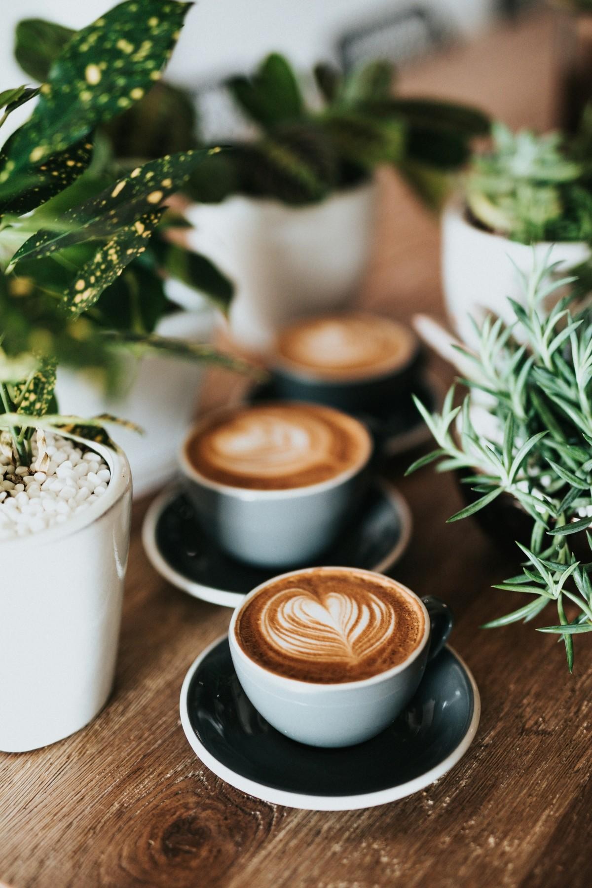 Cafe For Sale Bathurst 635281 1