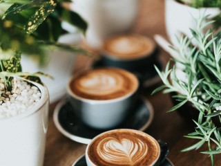 Cafe for Sale Bathurst