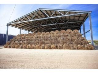 CQ Sheds and Concrete  Unlocking the Power of Ran!