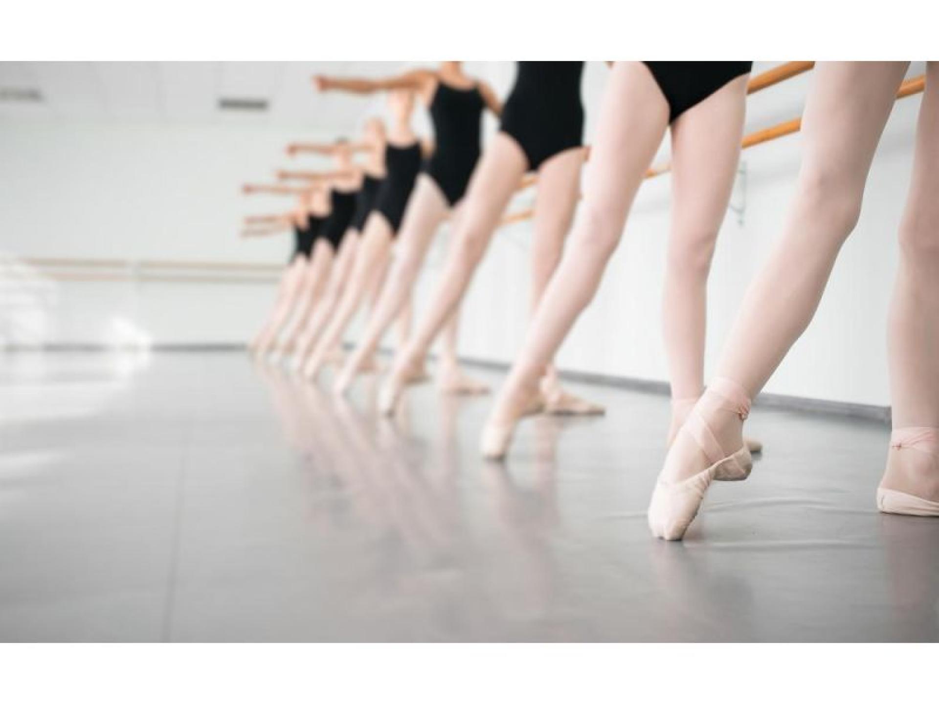 Profitable & Established Dance 637884 2