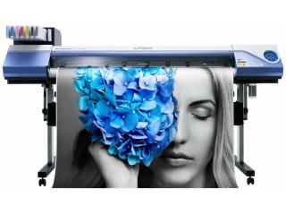 Leading Signage Business in West Melbourne - AF1443