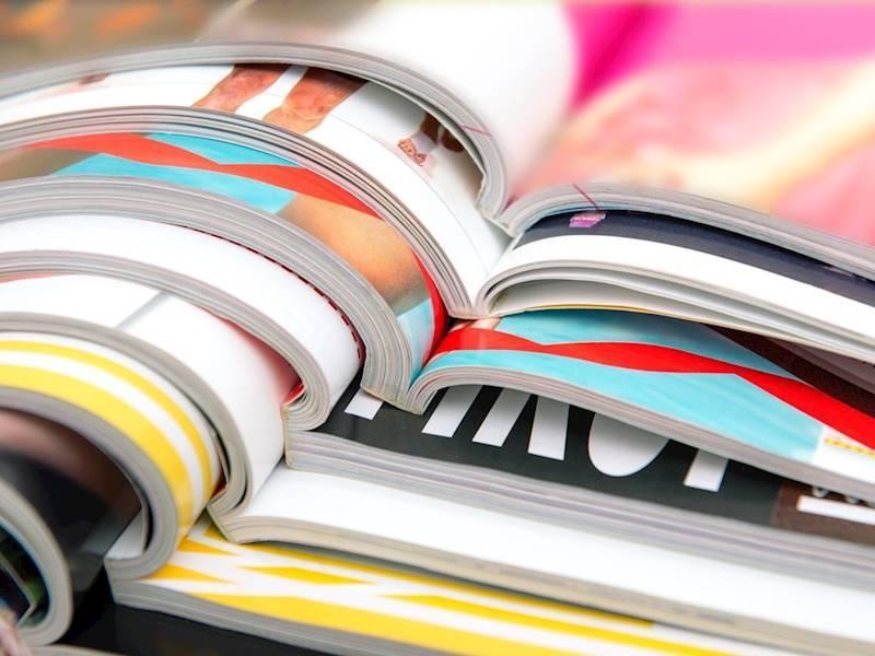 Freehold Property + Profitable 638484 2