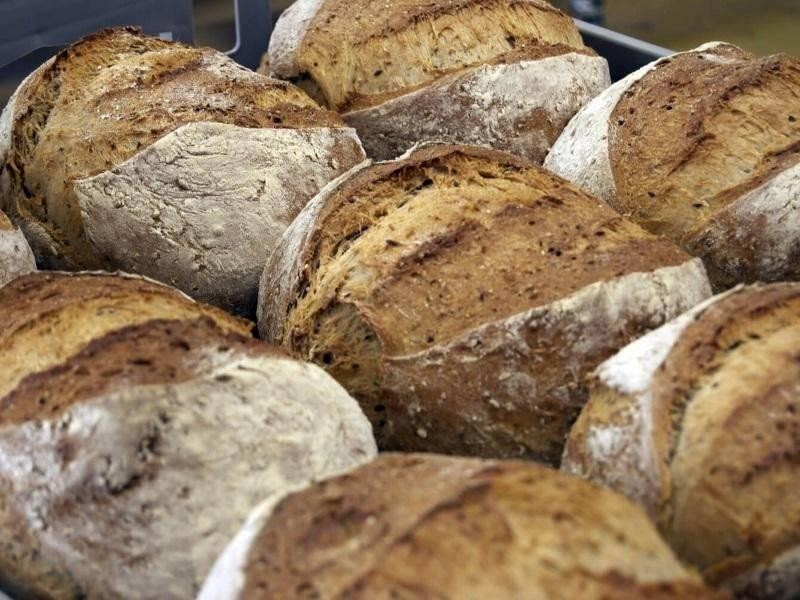 Middle Eastern Pizza & 638755 3