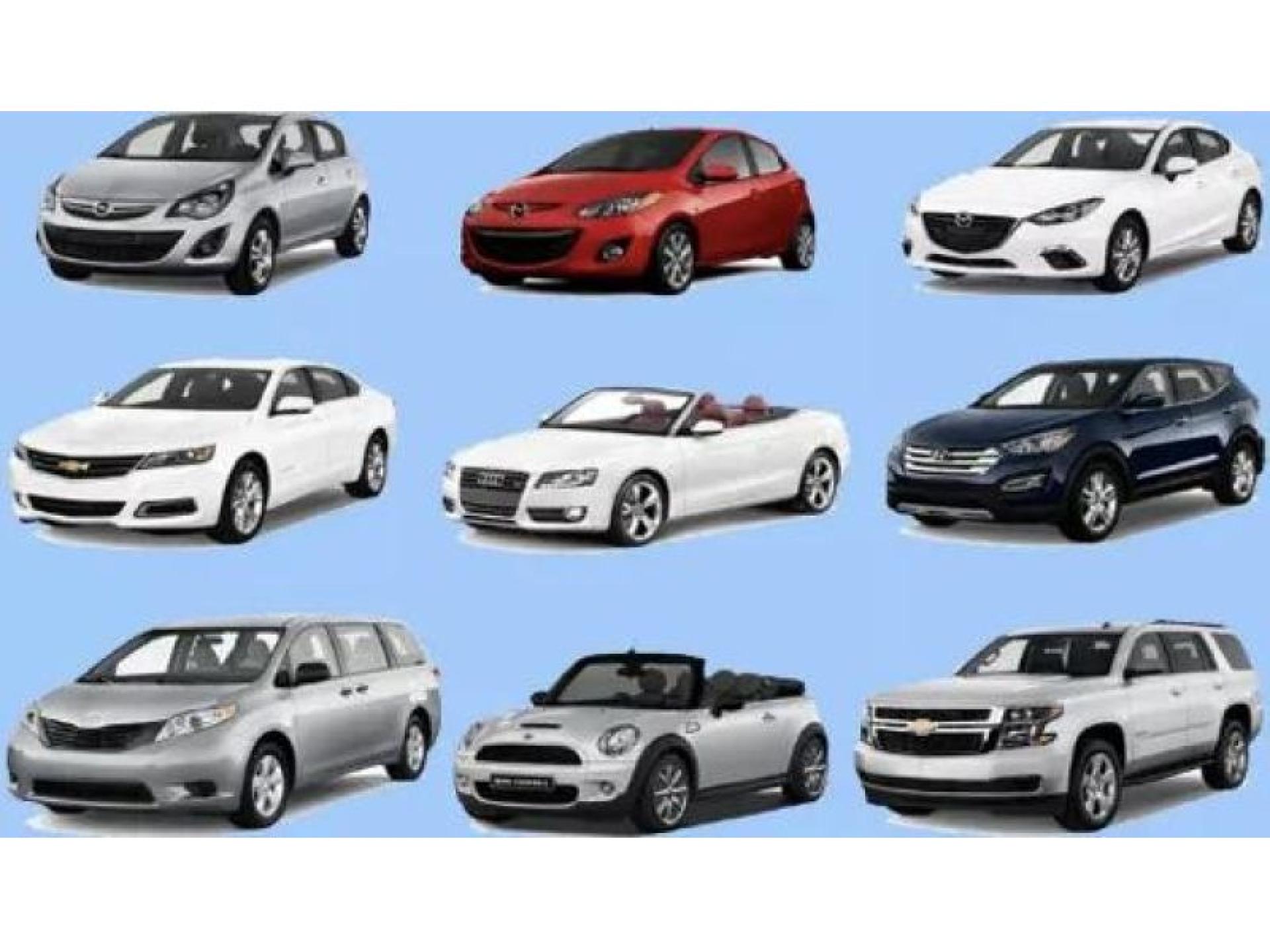 Car Rental Business – 638865 1