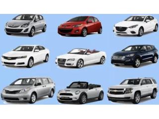 Car Rental Business – Tullamarine Airport, VIC