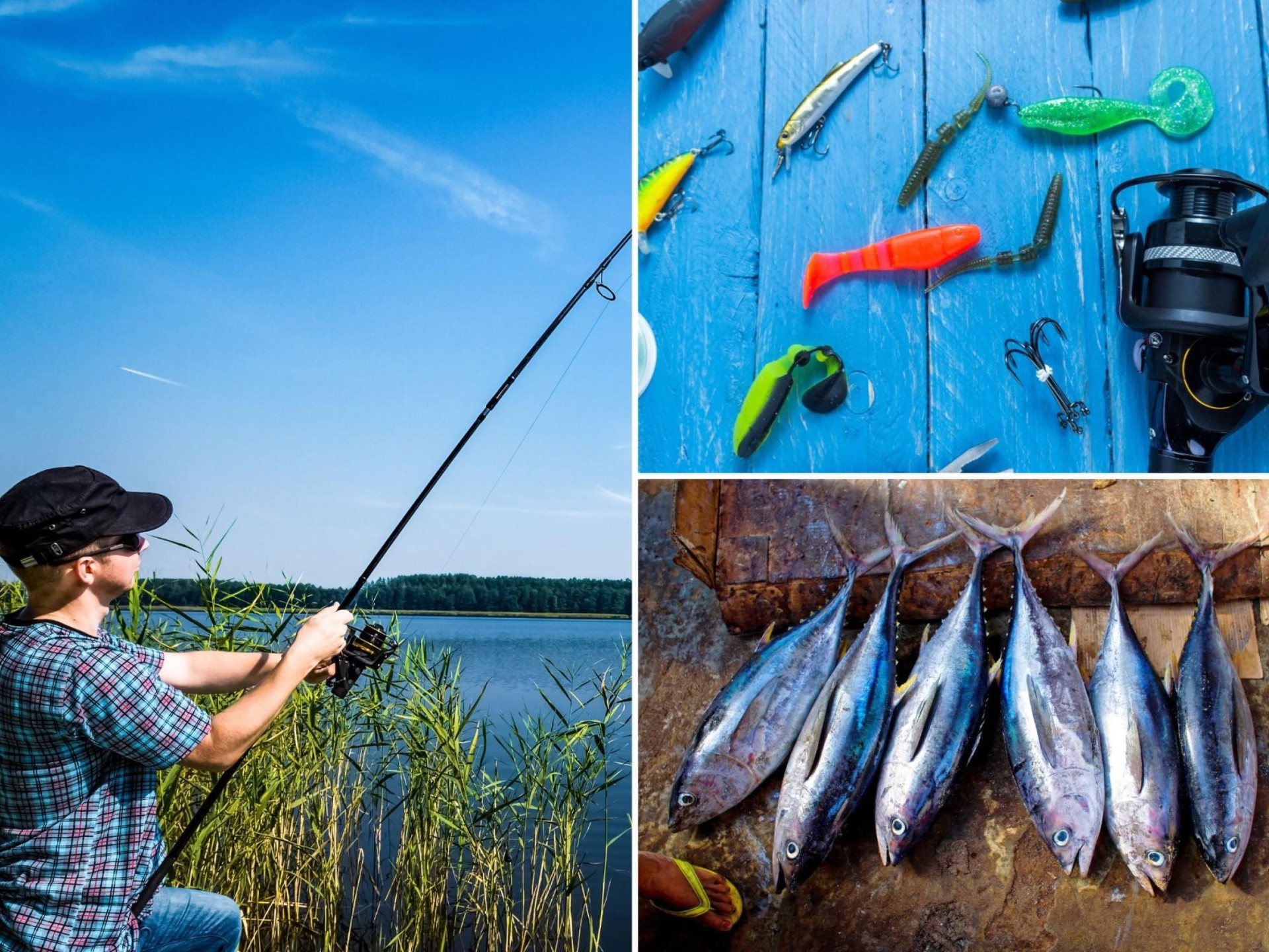 Online Fishing Supplies Business 640126 1