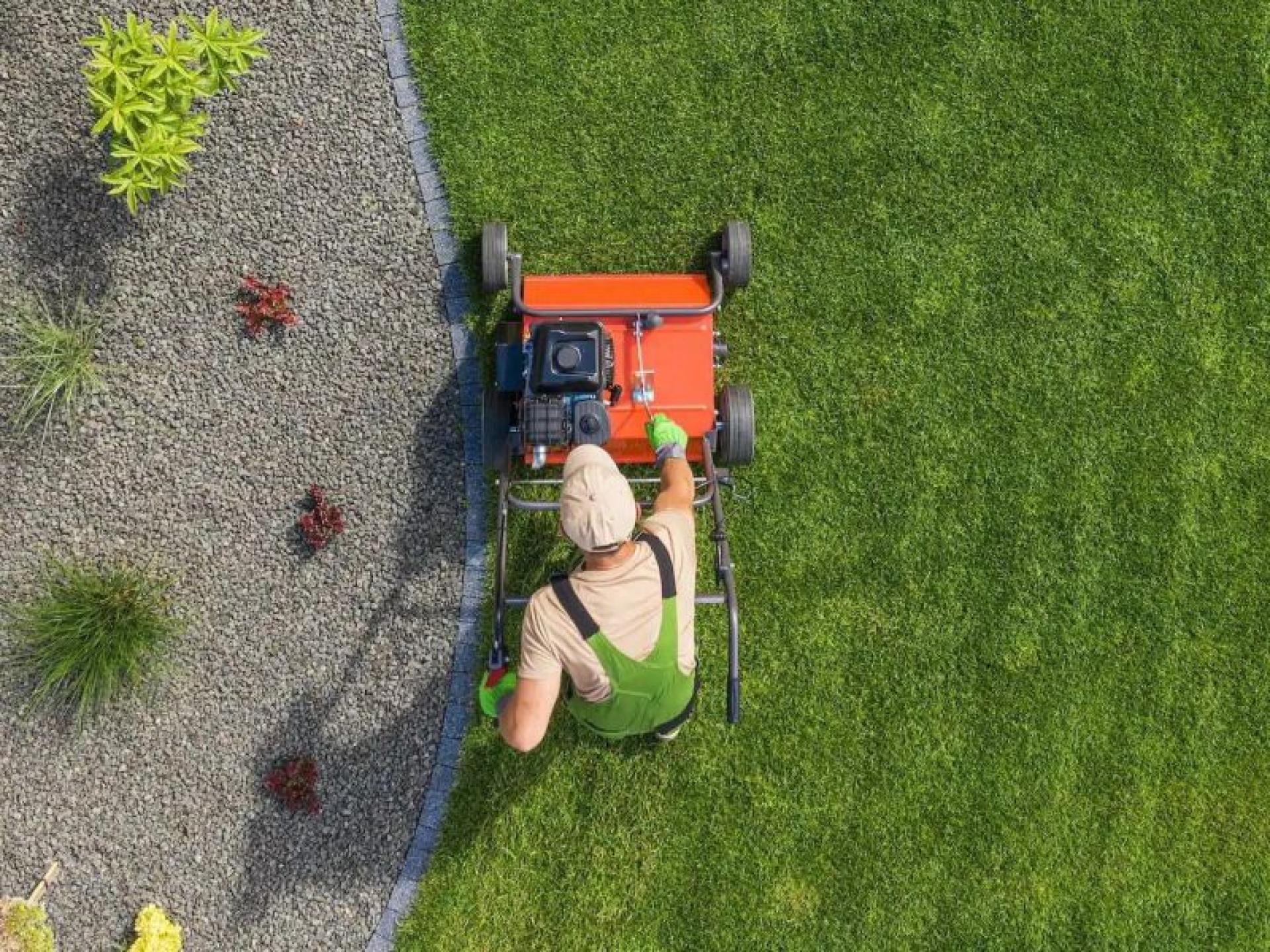 Cleaning & Mowing Business 640405 3
