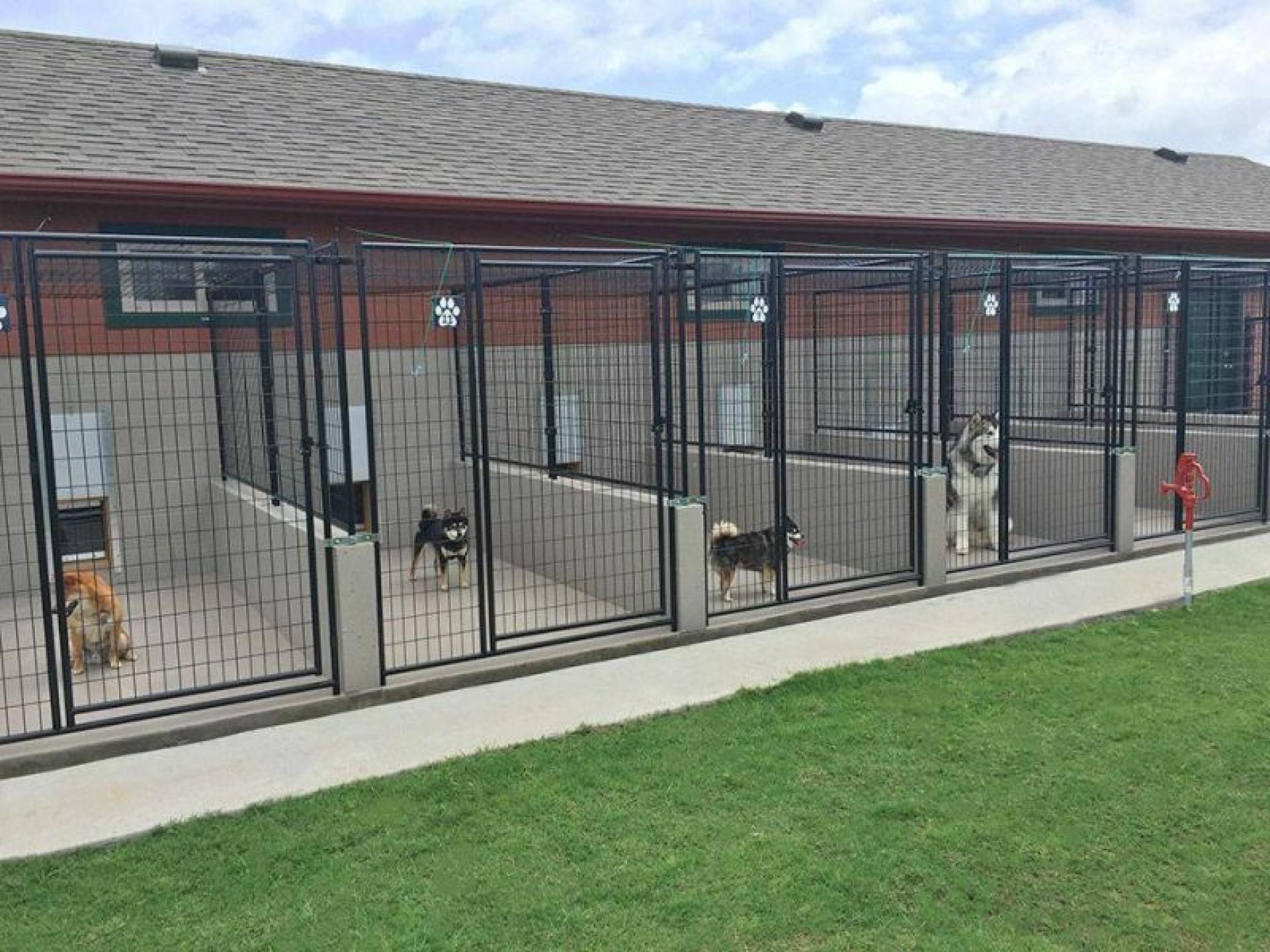 Under Contract: Pet Resort 640525 3