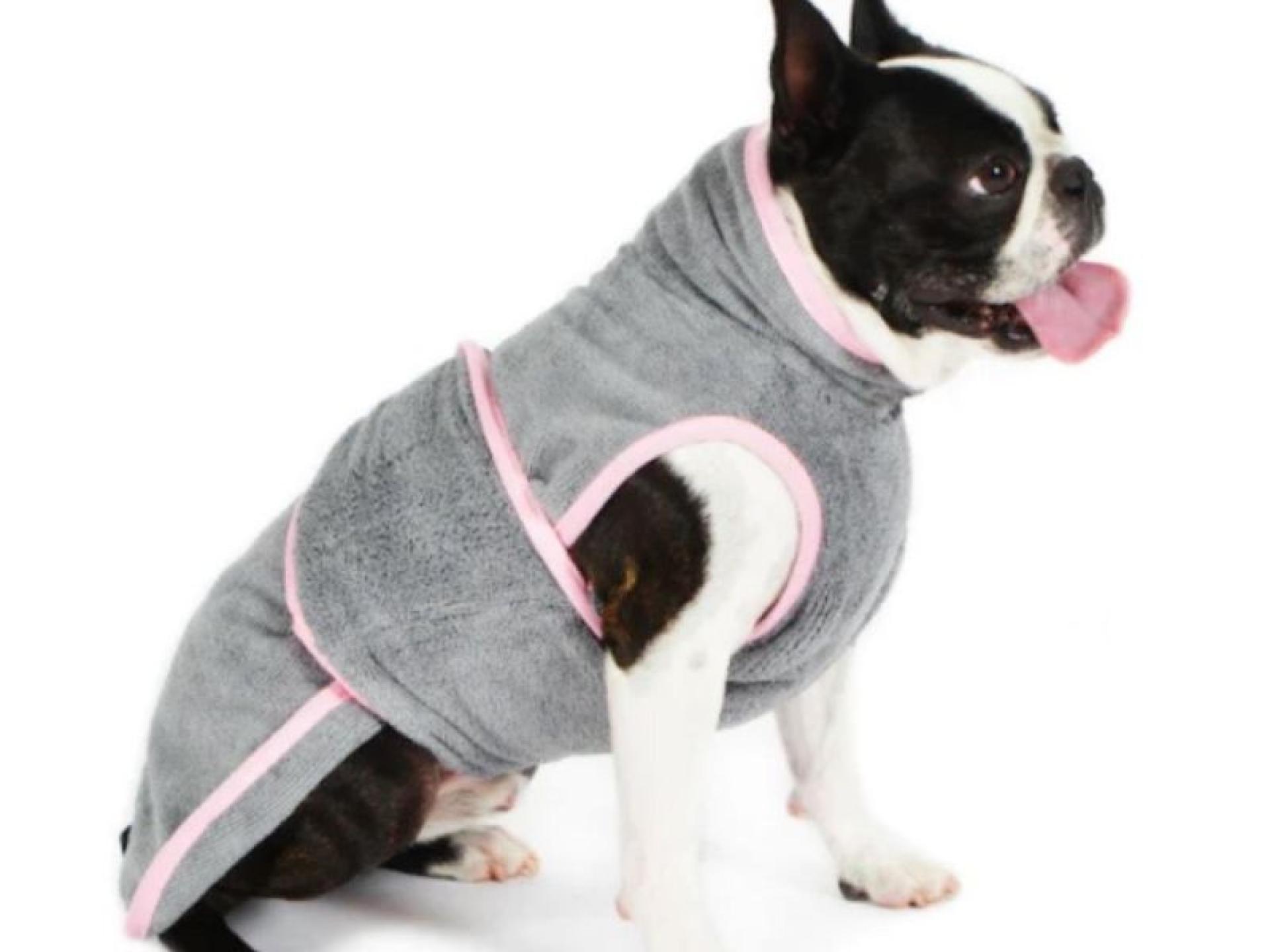 Niche Online Dog Apparel 640538 2