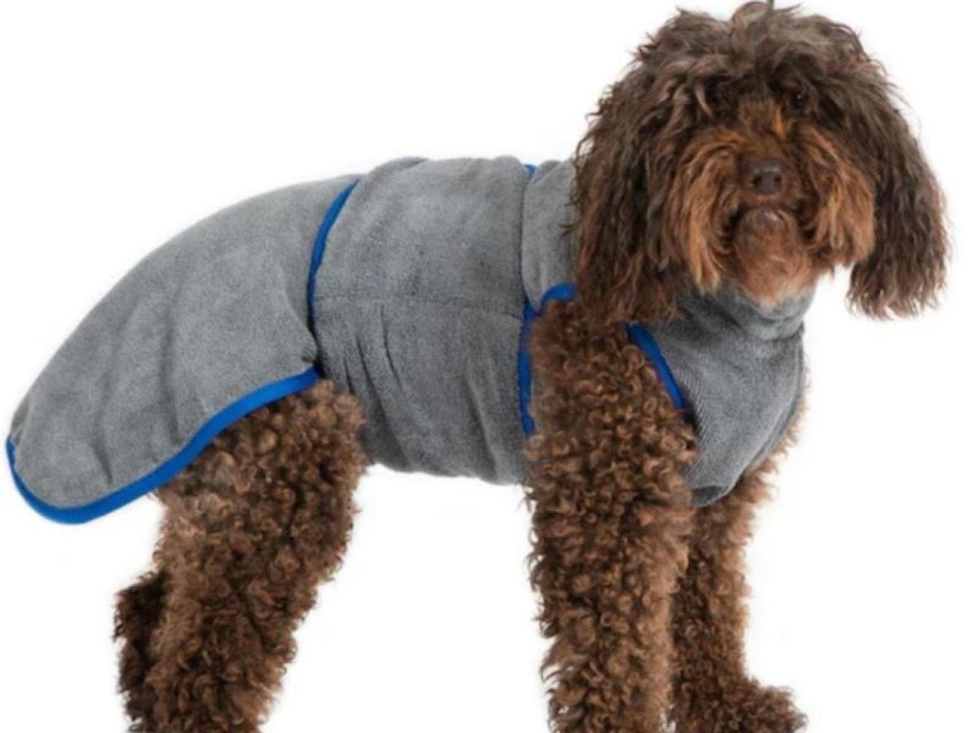 Niche Online Dog Apparel 640538 3
