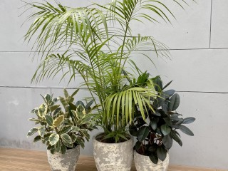 Plant Hire - business for sale – home based.