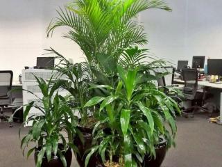 ​Plant Hire - business for sale – home based.