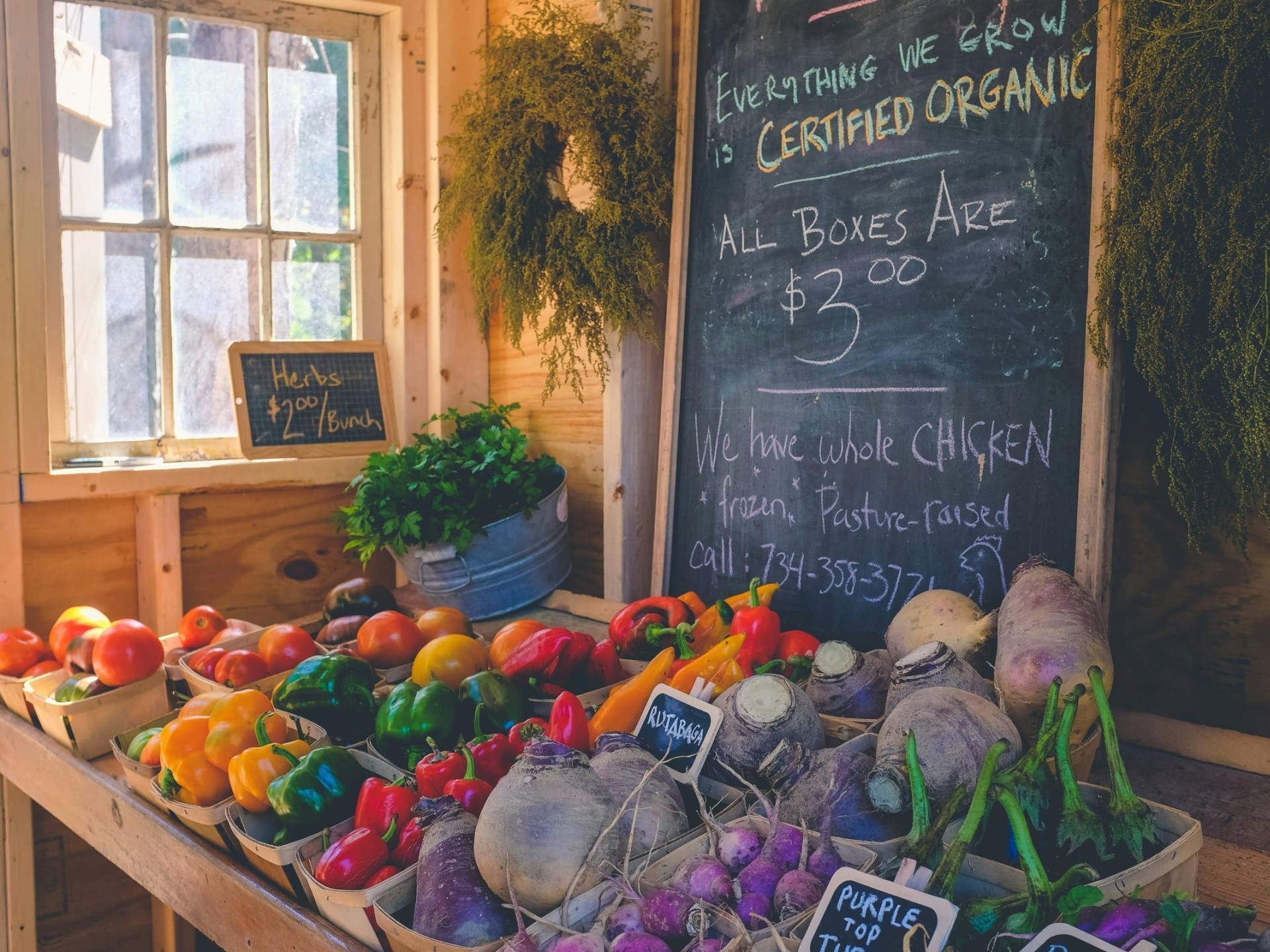 Online Organic Grocery Market 641241 3