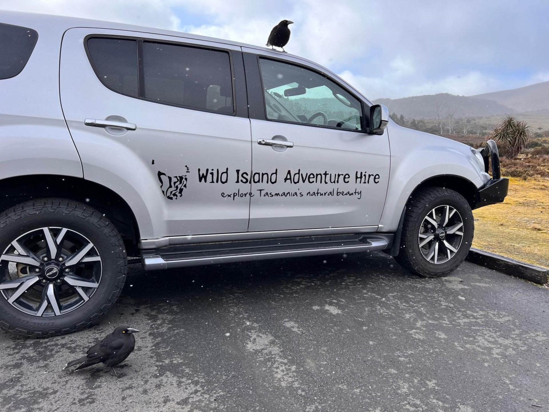 Adventure Equipment Hire & 641905 1