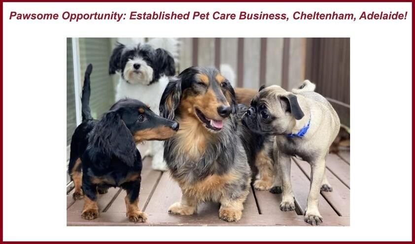 Pawsome Opportunity: Established Pet 642008 1