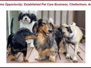 Pawsome Opportunity: Established Pet Care Business in Adelaide!