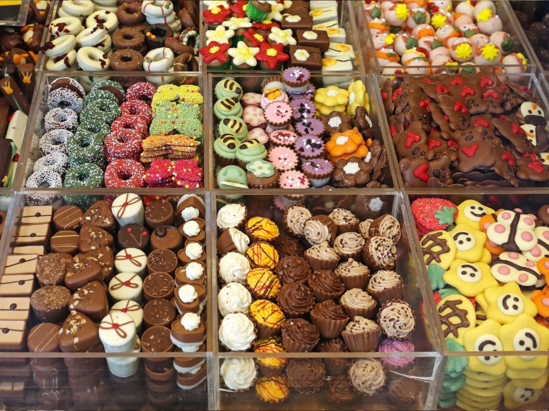 Rare Opportunity To Own 643264 3