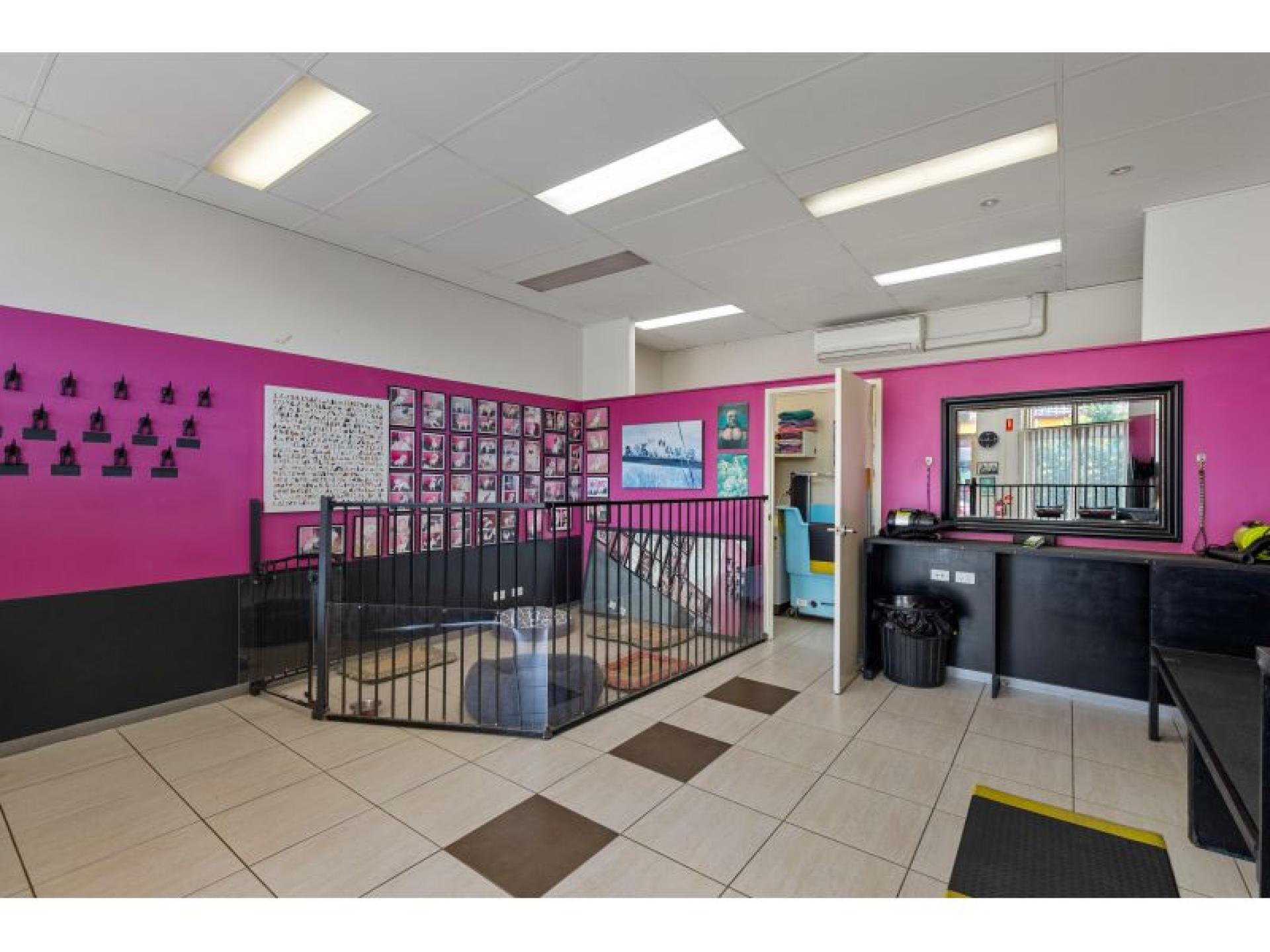 Sold – Established Dog 643597 3