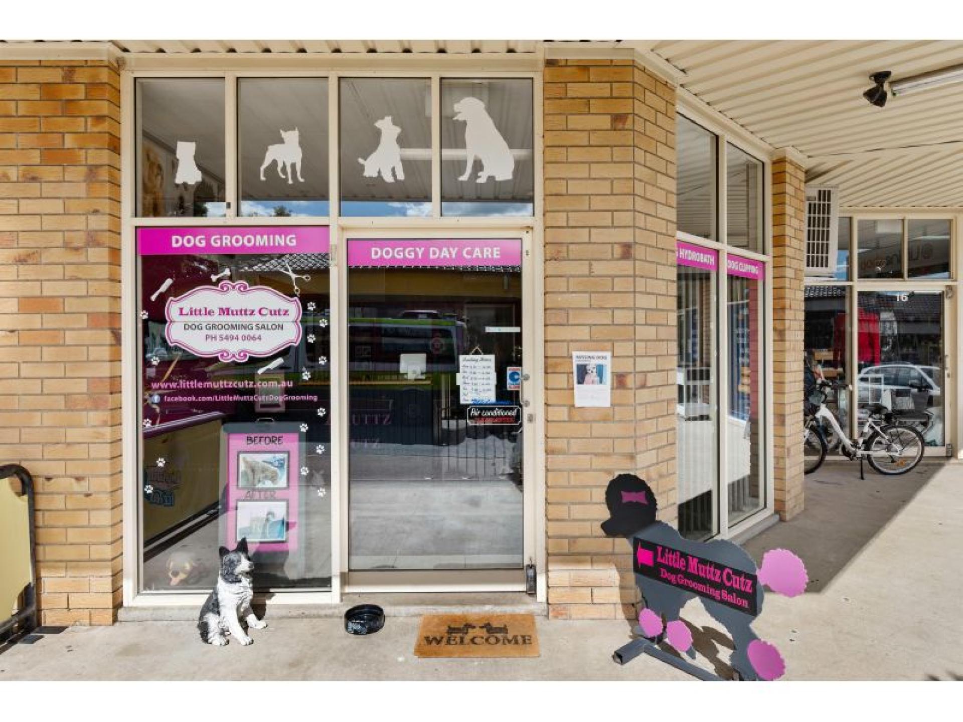 Sold – Established Dog 643597 1