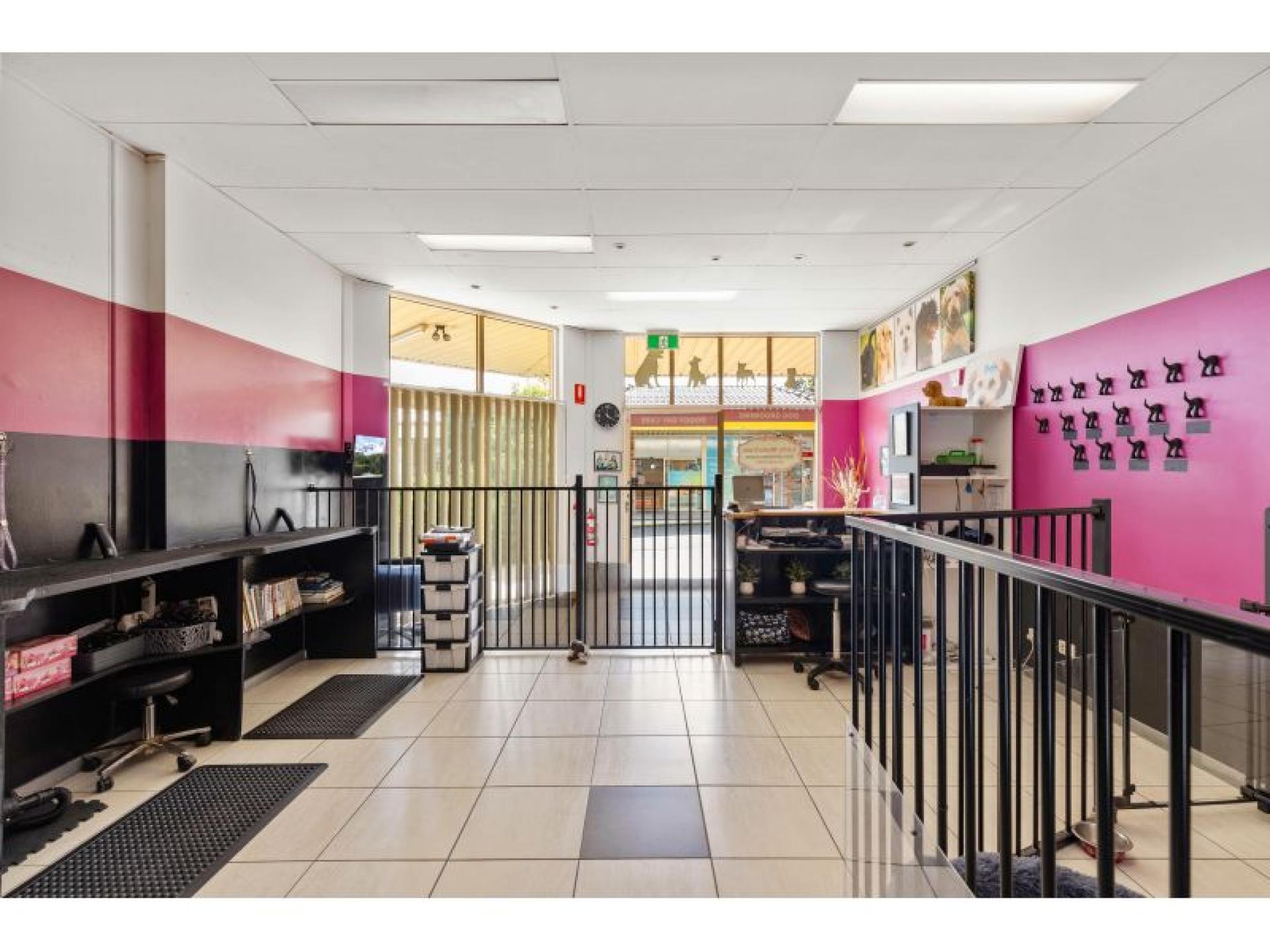 Sold – Established Dog 643597 2