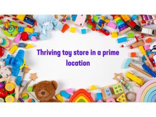 Established toy store is ready for more success!
