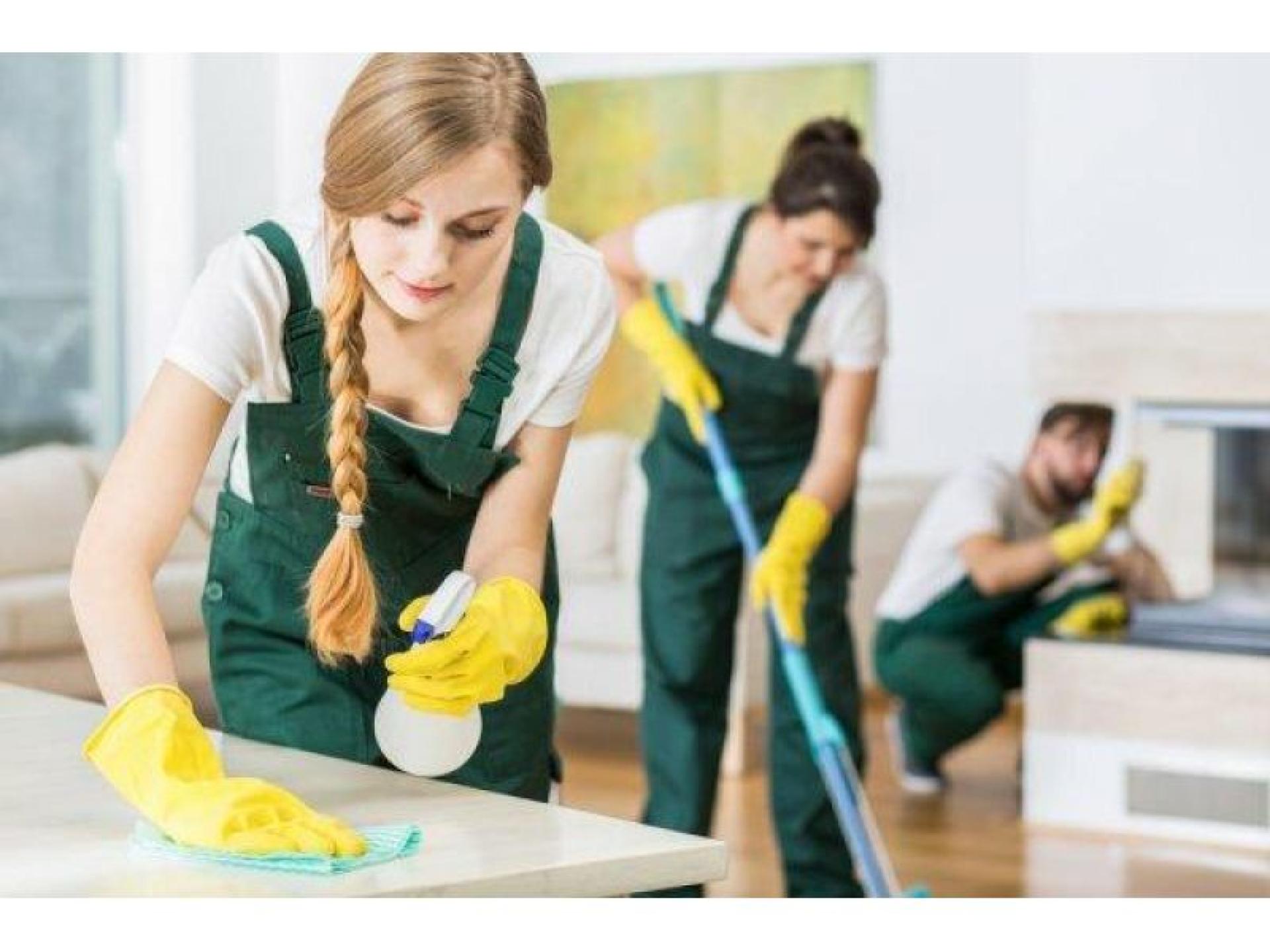 Cleaning Services Business 644004 1