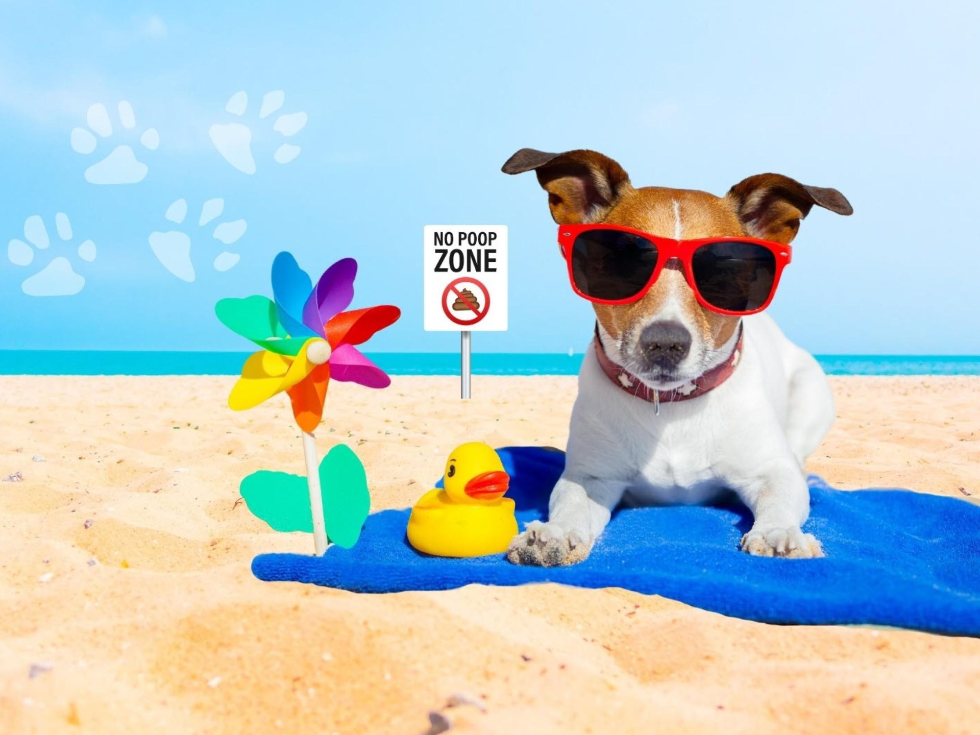 Online Pet Supplies Business 644620 1