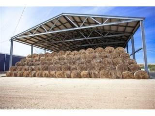CQ Sheds and Concrete - Unlocking the Power of Ran!