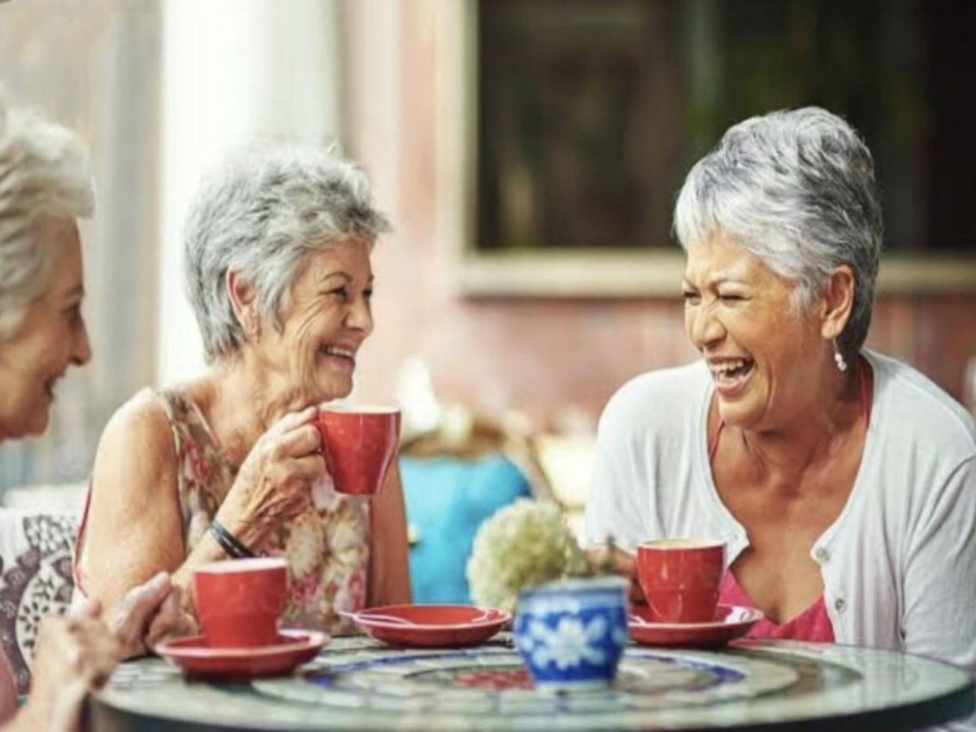 Cafe For Sale - 645291 2