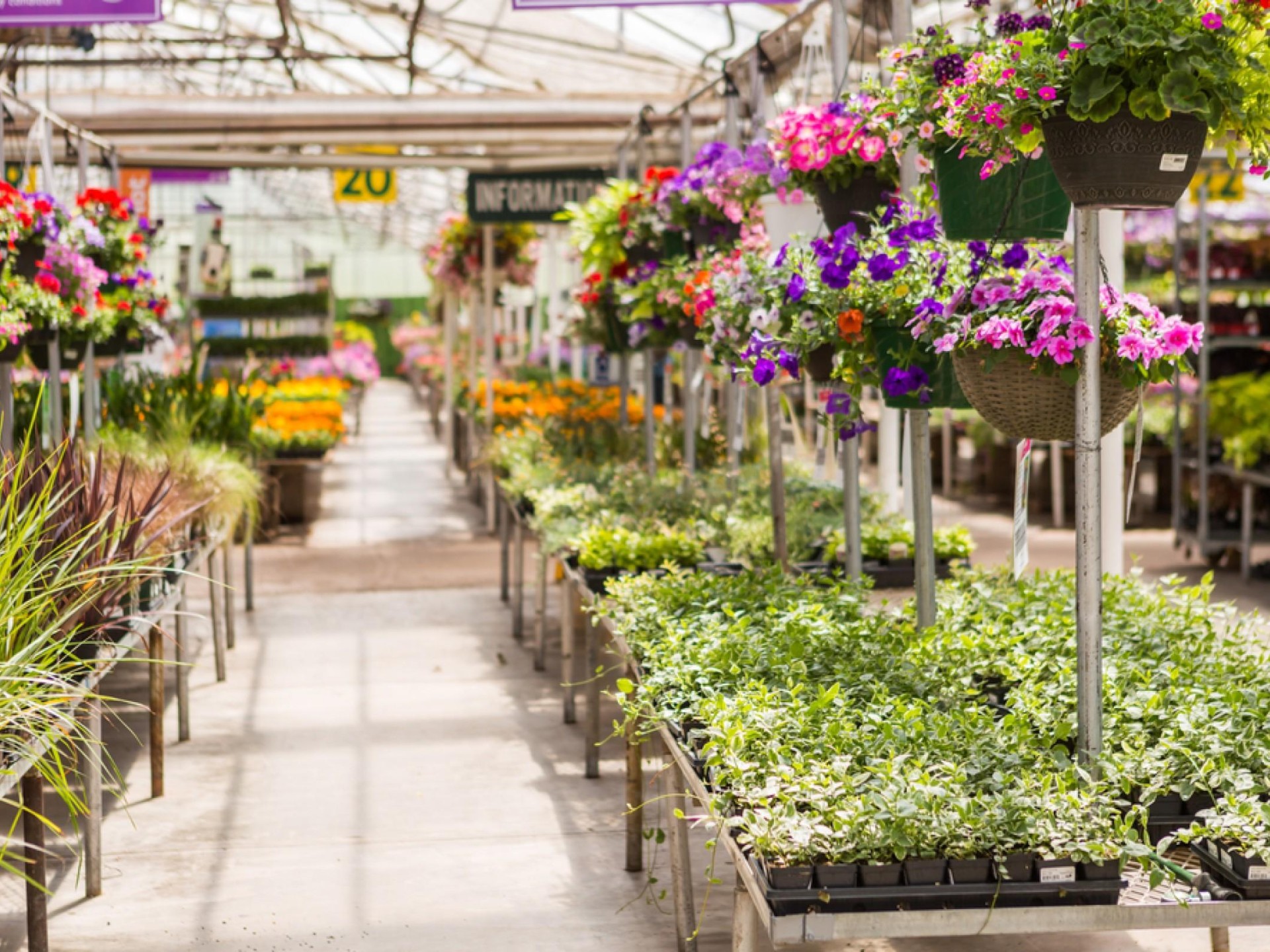 "thriving Garden Centre & 645300 1