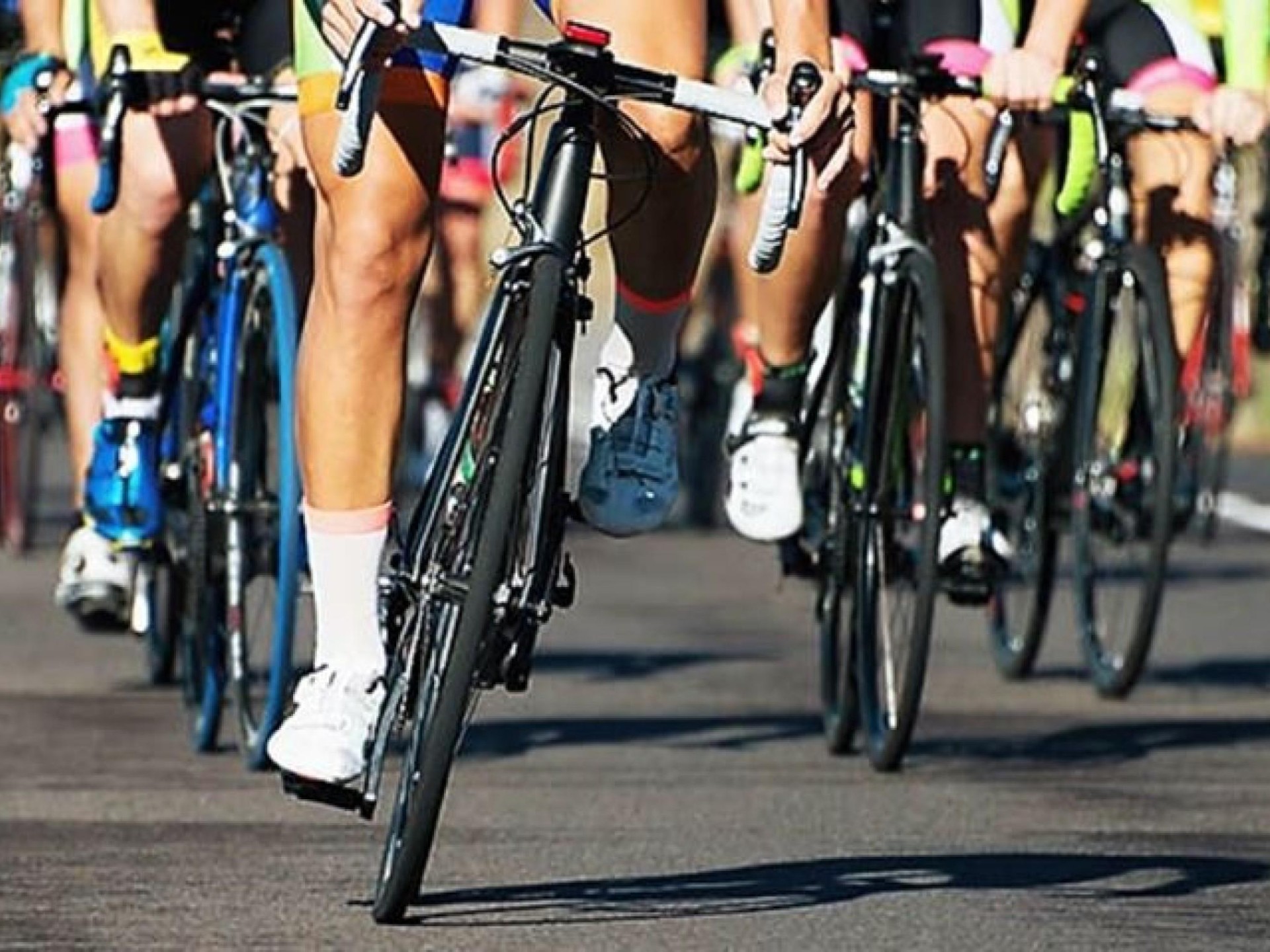 Bicycle Centre Bendigo 646145 2