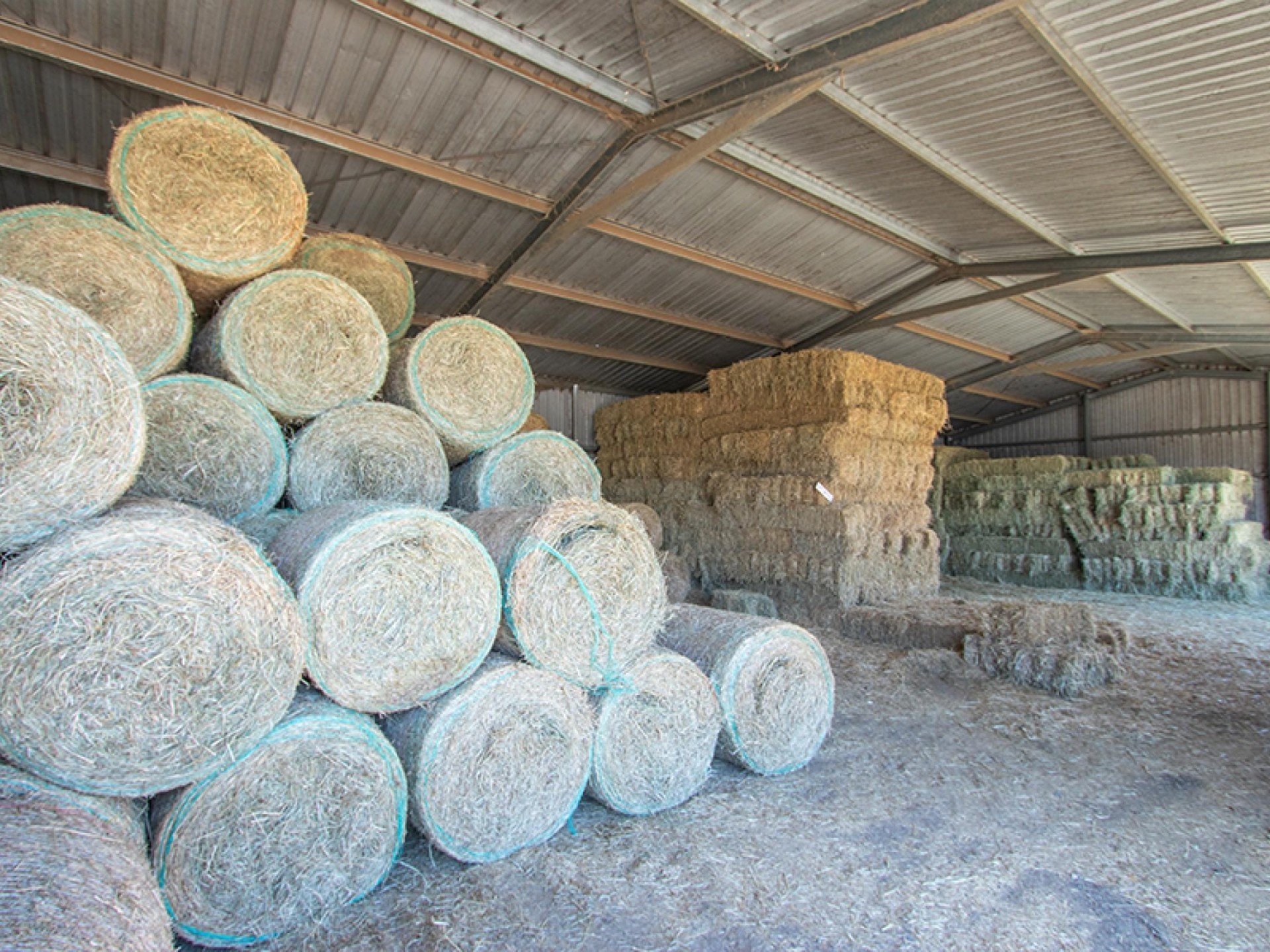 Wrt Feed Shed - 646400 3