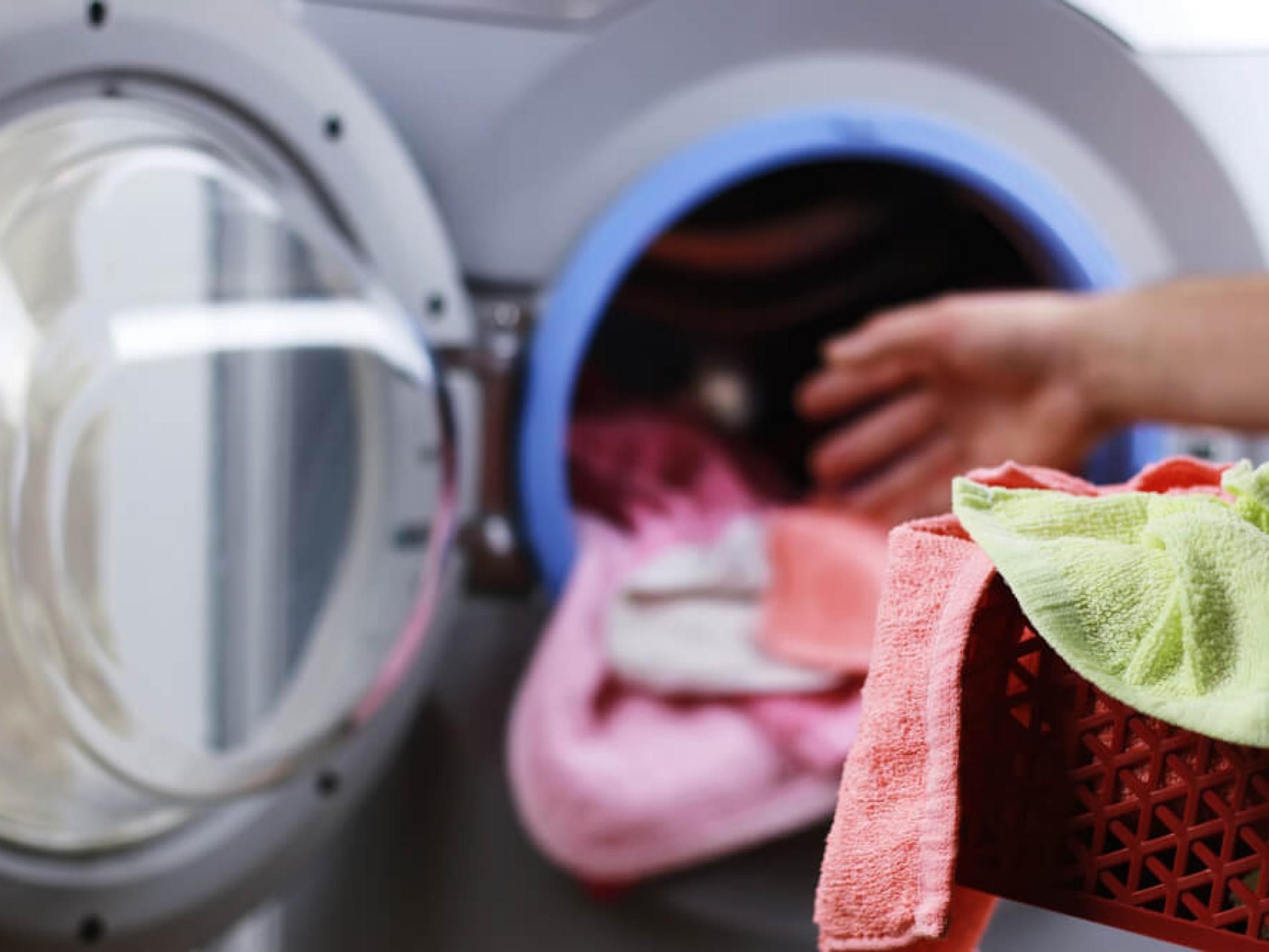 Drycleaning & Laundry Business 646595 2