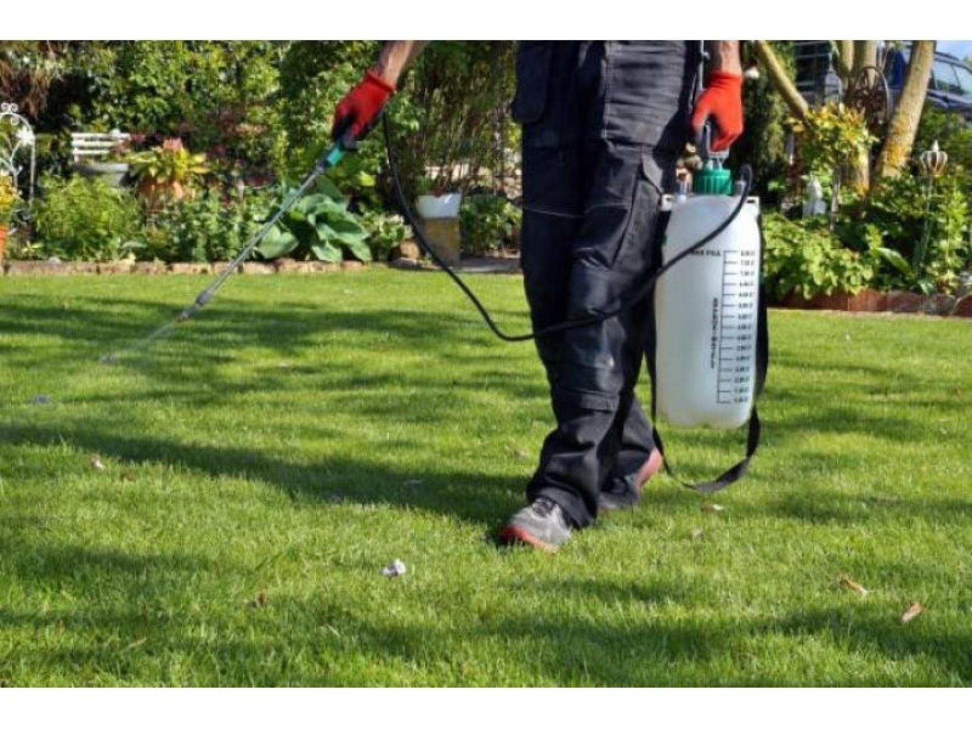 Well-established Perth Pest Control 646696 1